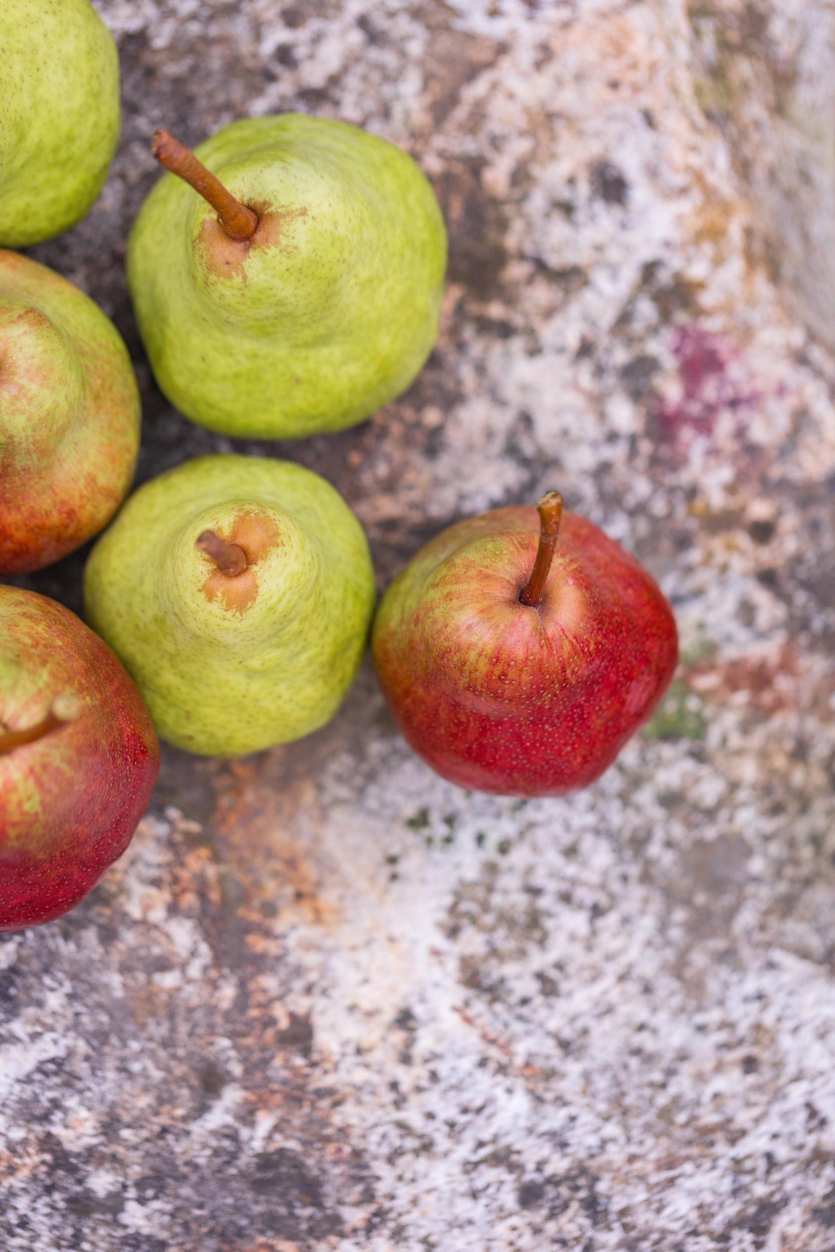 (c)marianne mittermayr_isidor (301).jpg