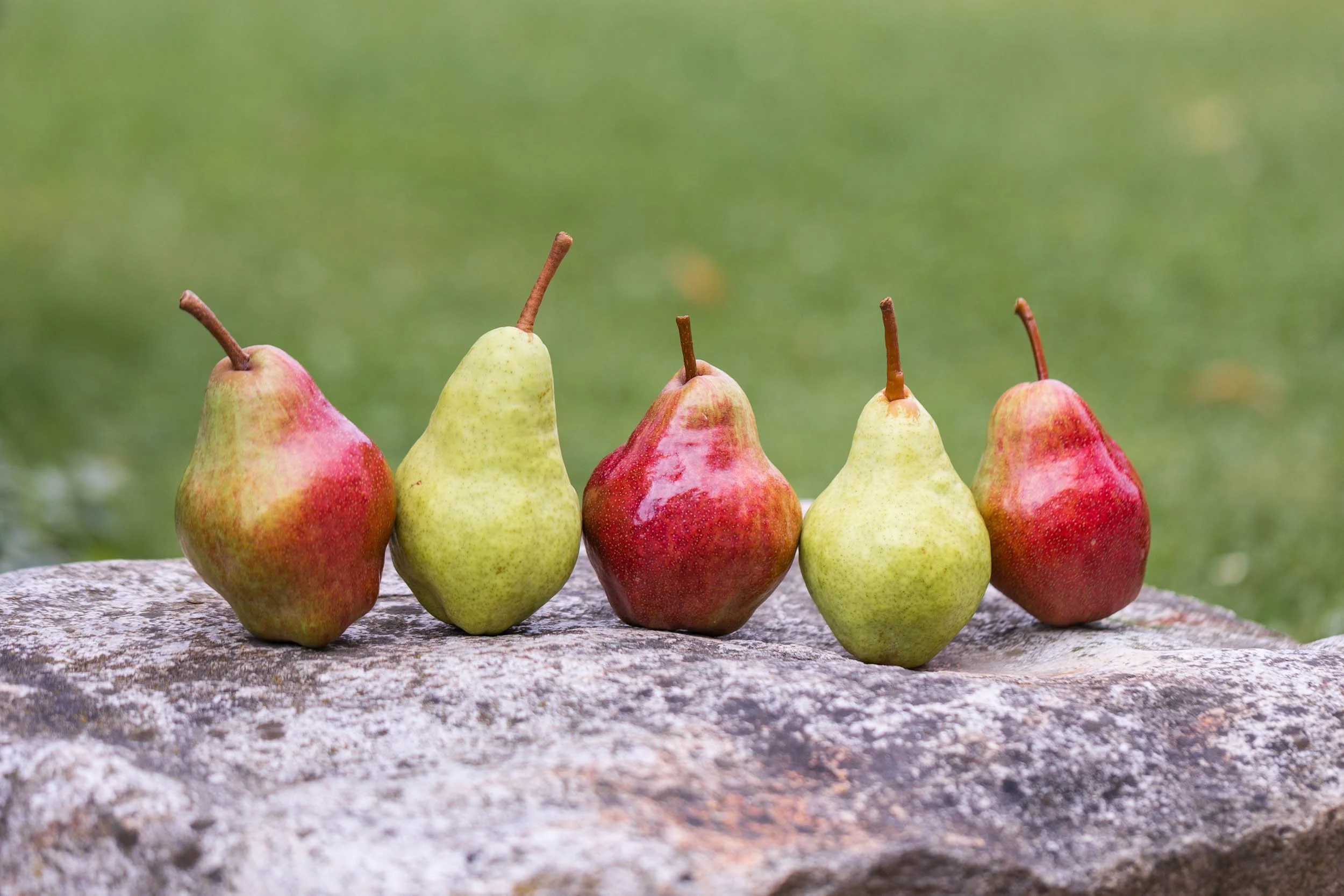 (c)marianne mittermayr_isidor (307).jpg