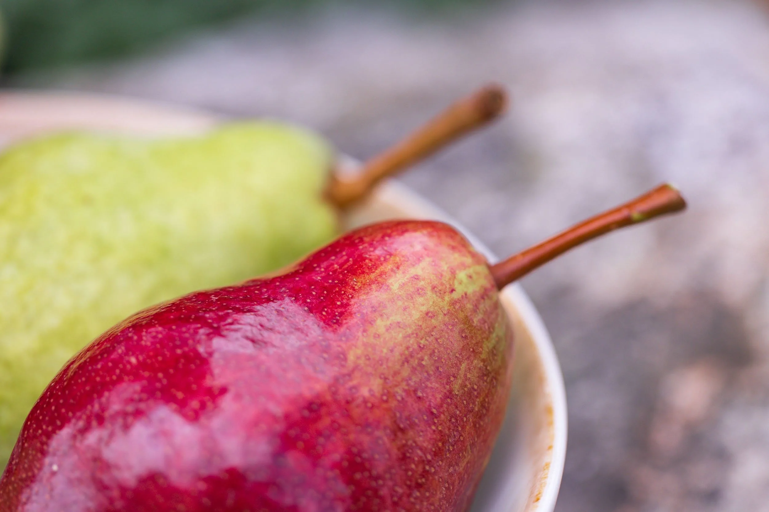 (c)marianne mittermayr_isidor (311).jpg