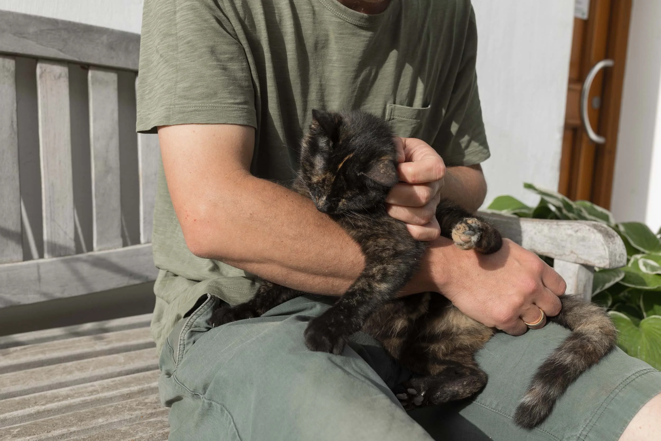 (c)marianne mittermayr_isidor (100).jpg