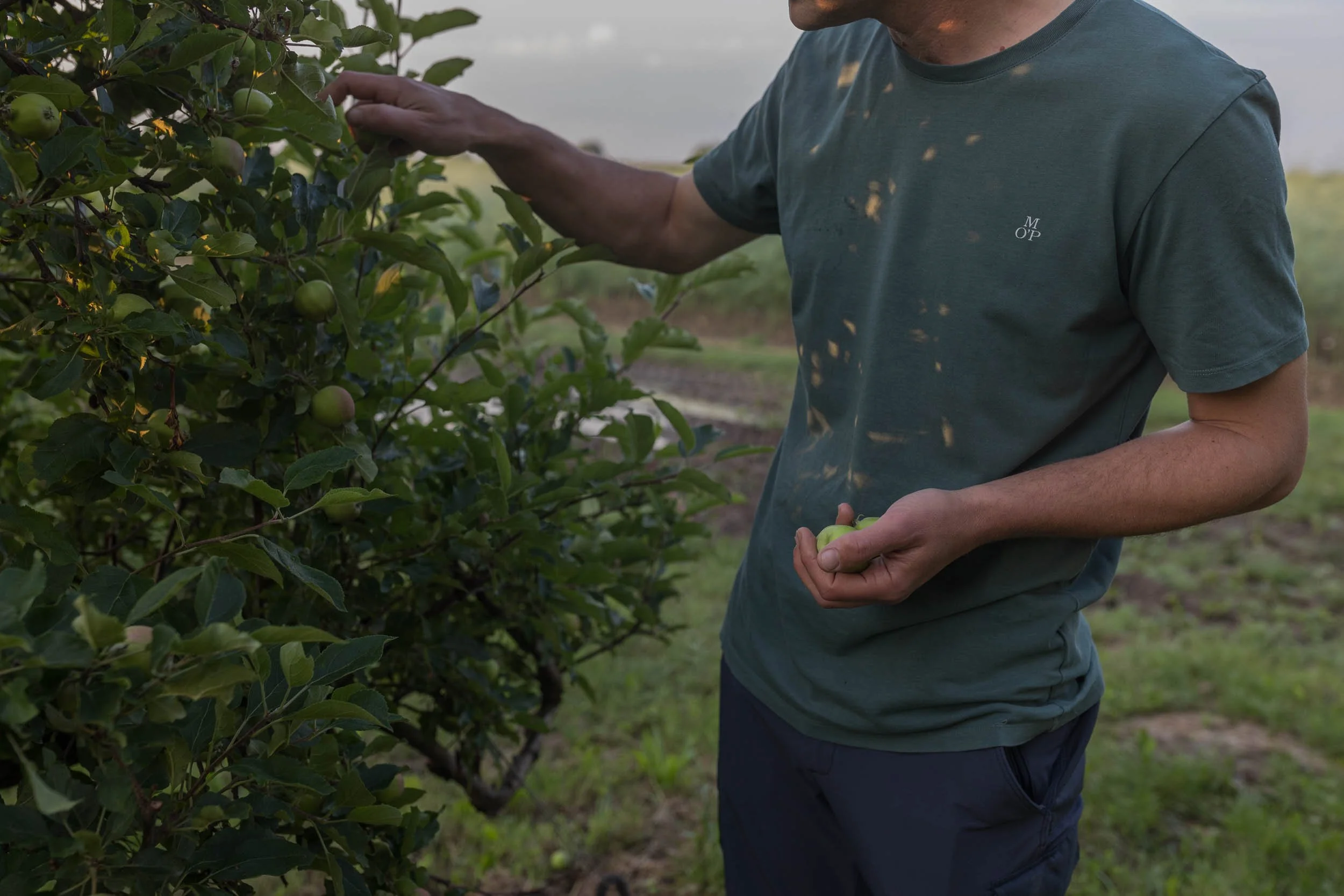 (c)marianne mittermayr_isidor (42).jpg