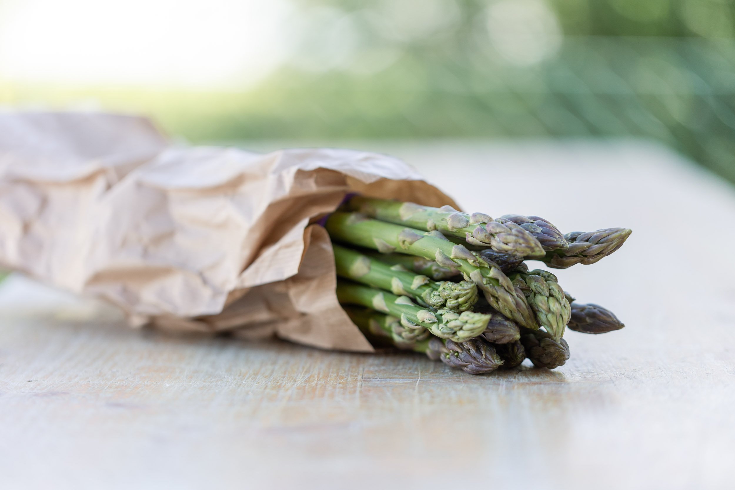 (c)marianne mittermayr_isidor (418).jpg