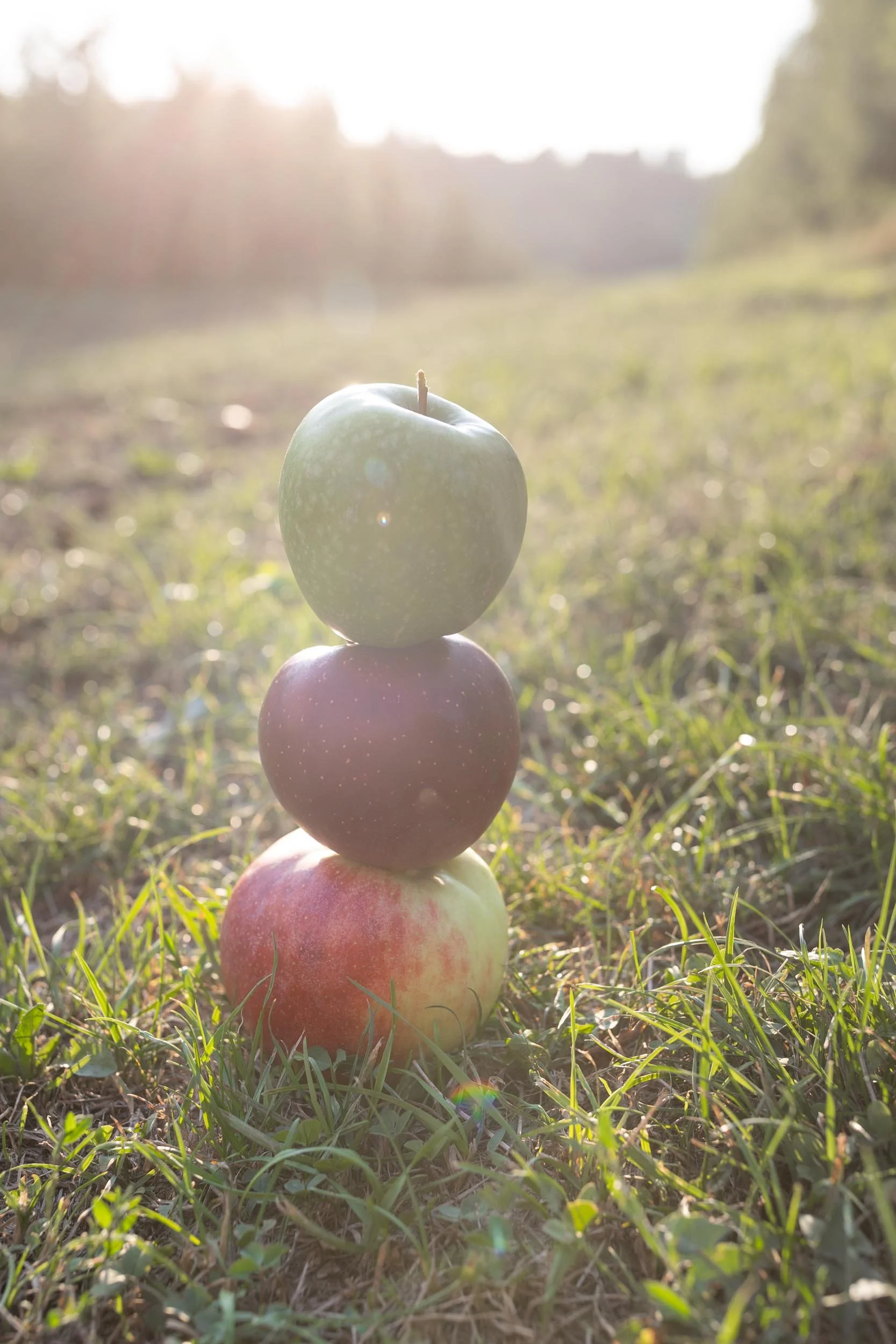 (c)marianne mittermayr_isidor (197).jpg