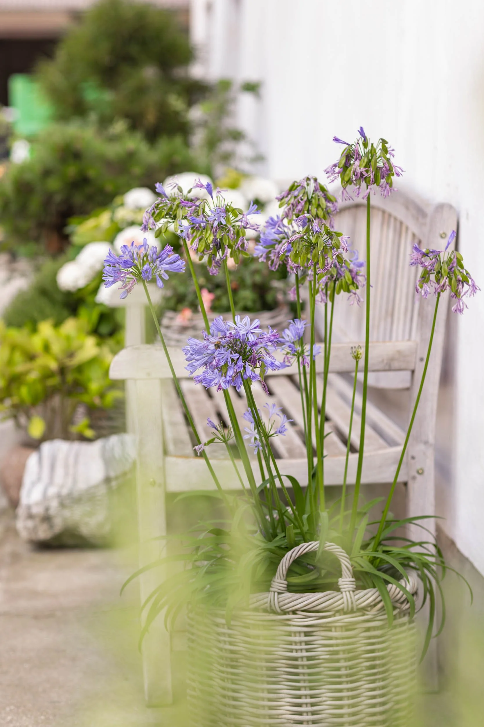 (c)marianne mittermayr_isidor (299).jpg