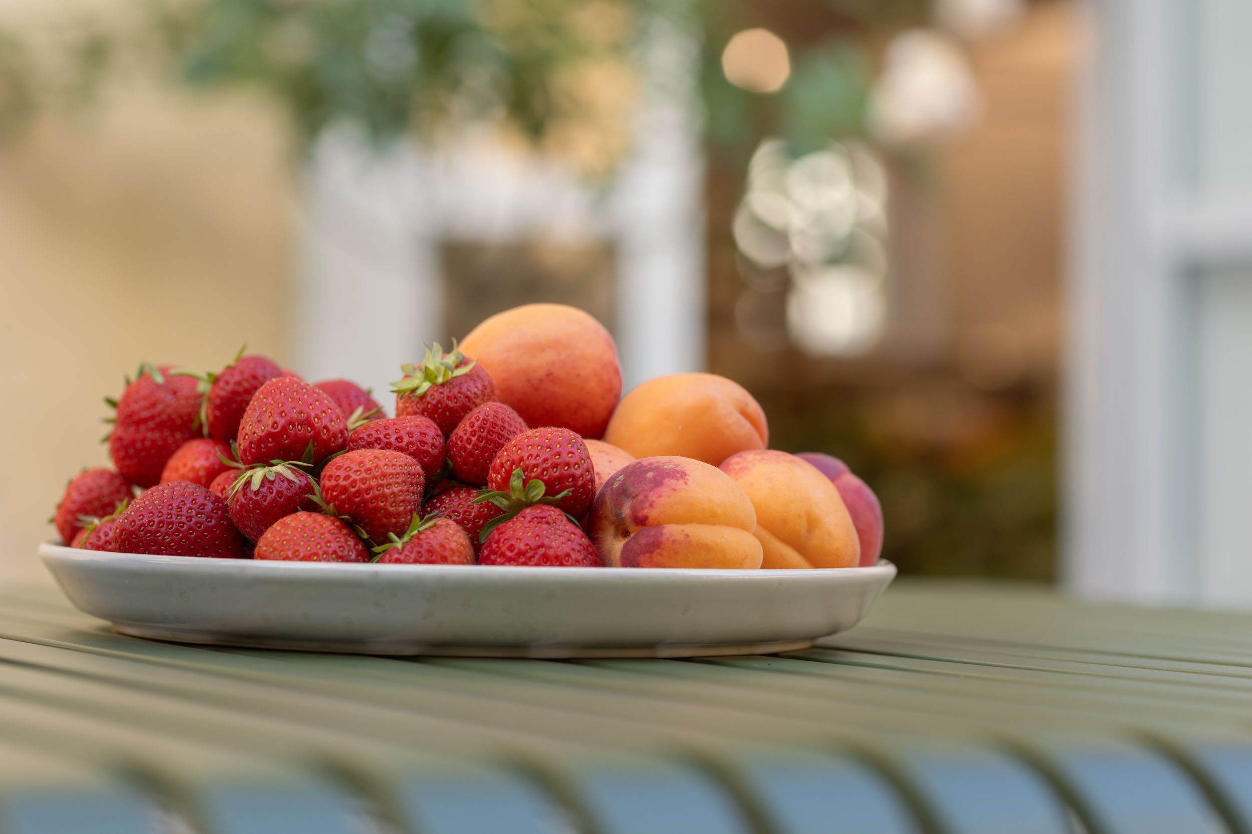 (c)marianne mittermayr_isidor (392).jpg