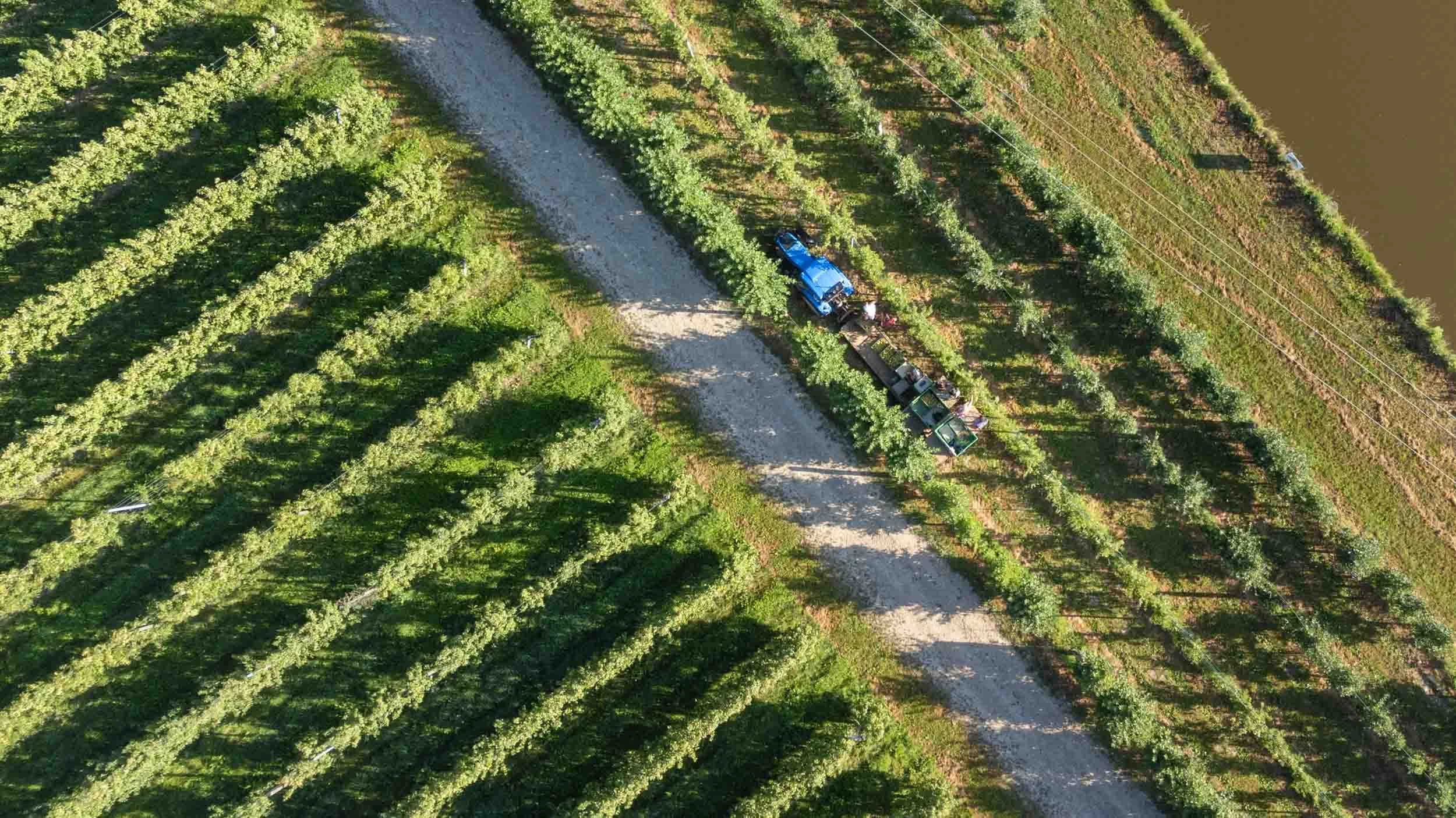 (c)marianne mittermayr_isidor (138).jpg