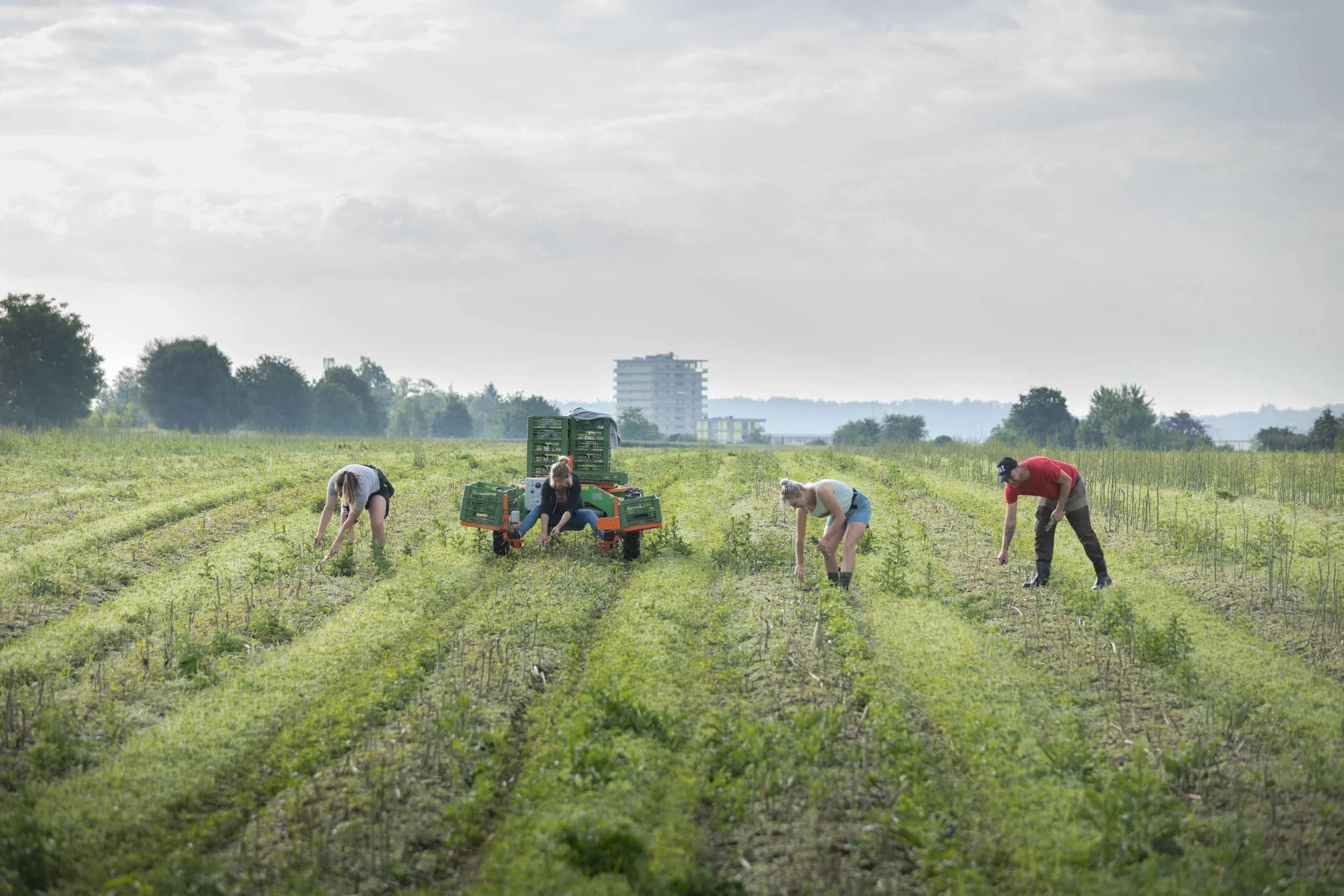 (c)marianne mittermayr_isidor (389).jpg