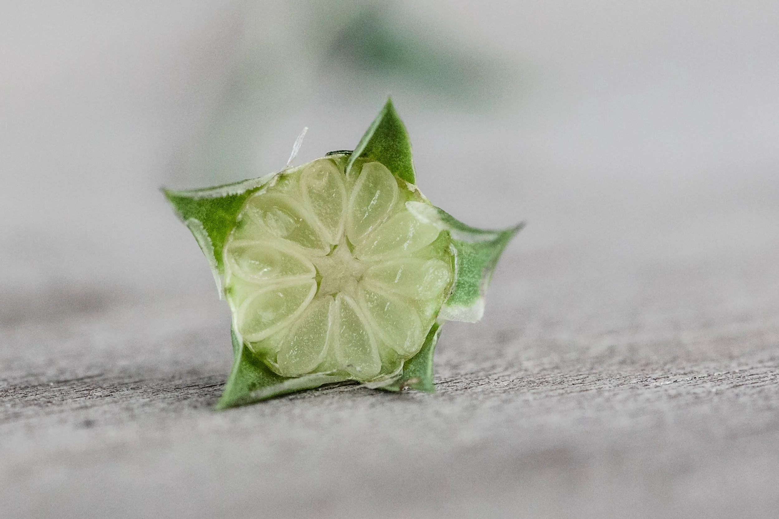 (c)Marianne Mittermayr_Kosmetik am Hof-153.jpg