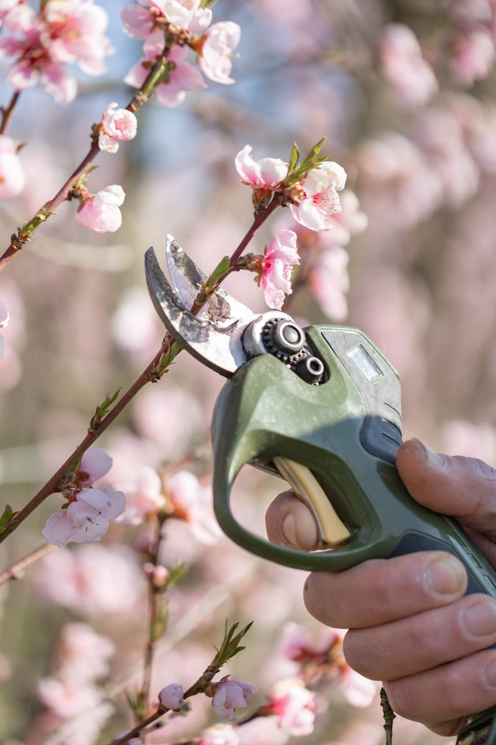 (c)marianne mittermayr_isidor (264).jpg