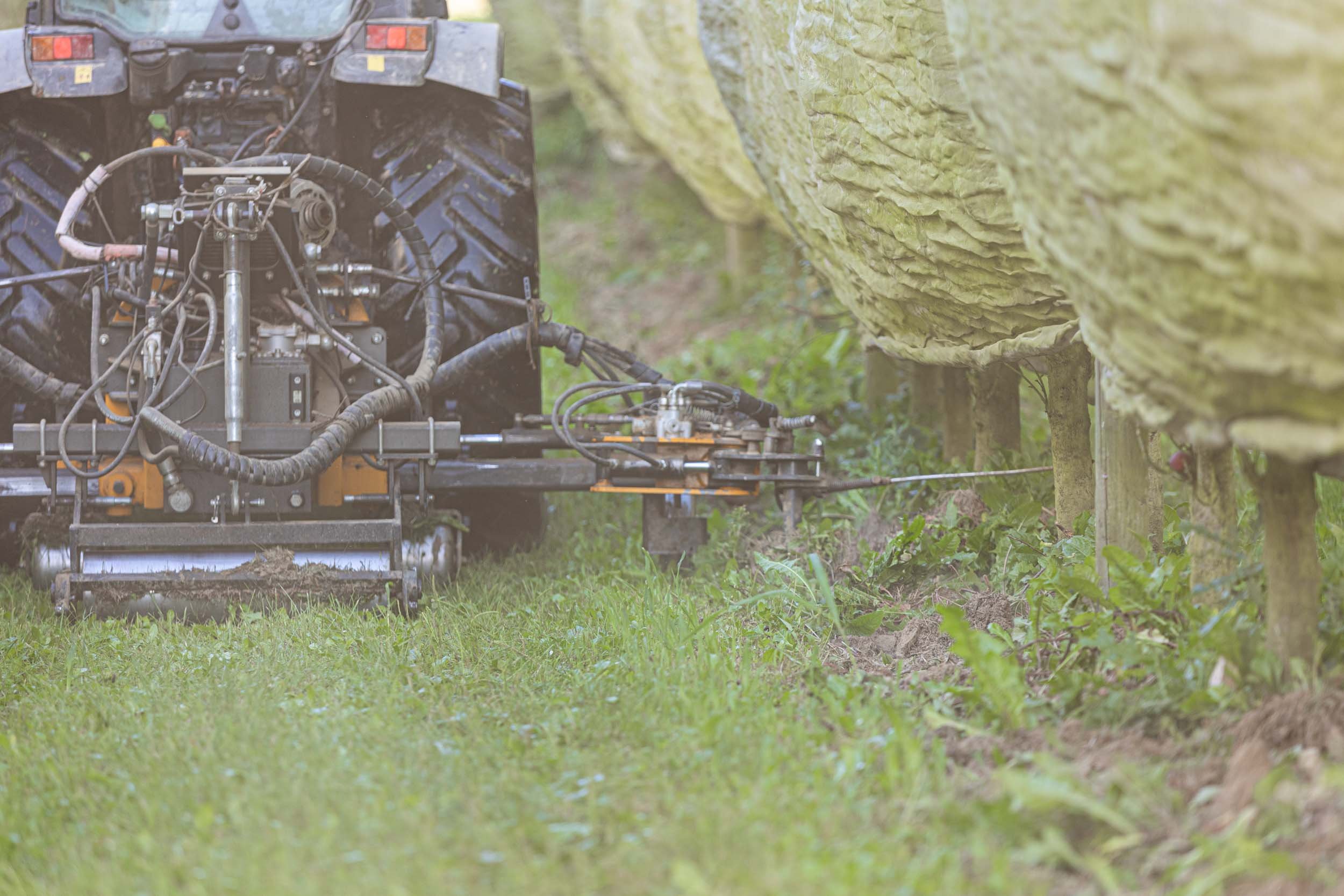 (c)marianne mittermayr_isidor (159).jpg