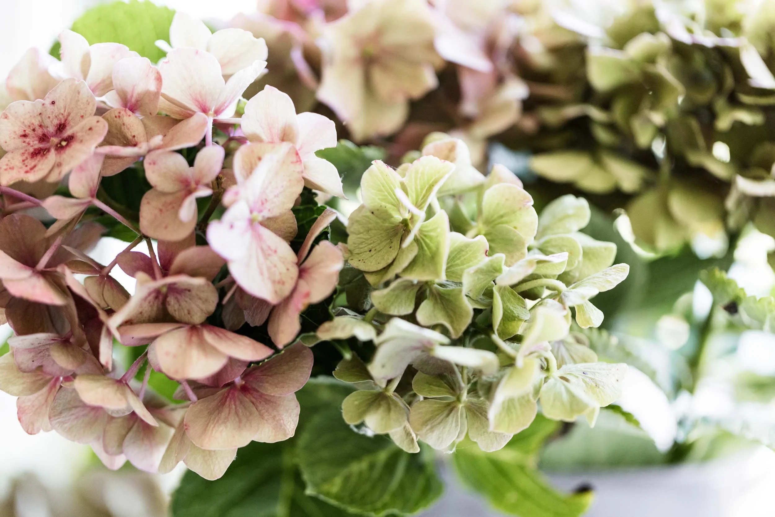 (c)Marianne Mittermayr_Kosmetik am Hof-4.jpg