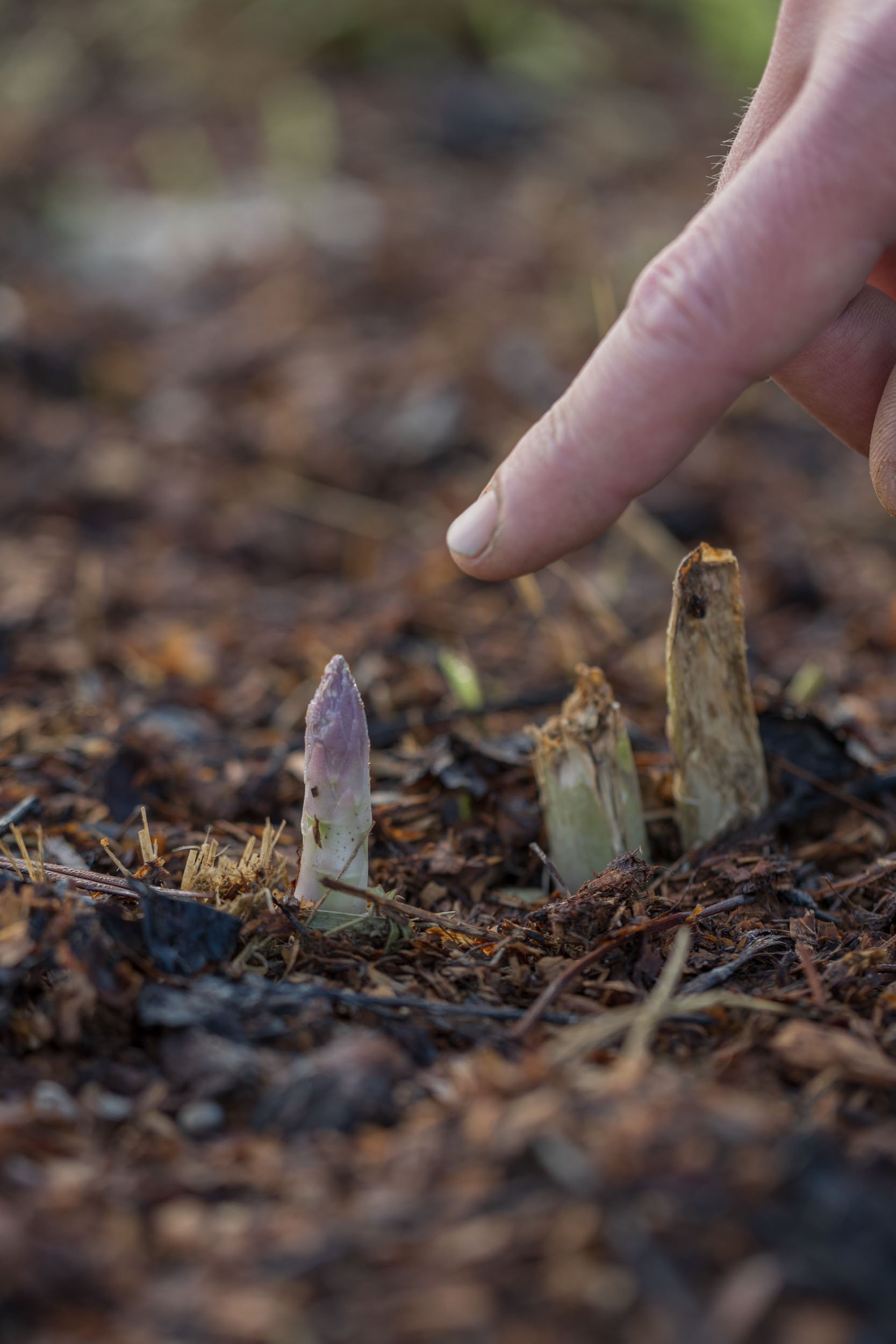 (c)marianne mittermayr_isidor (45).jpg