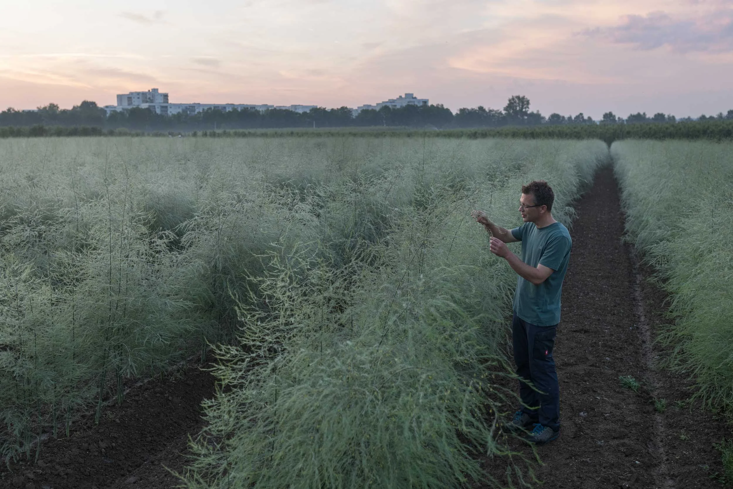 (c)marianne mittermayr_isidor (88).jpg