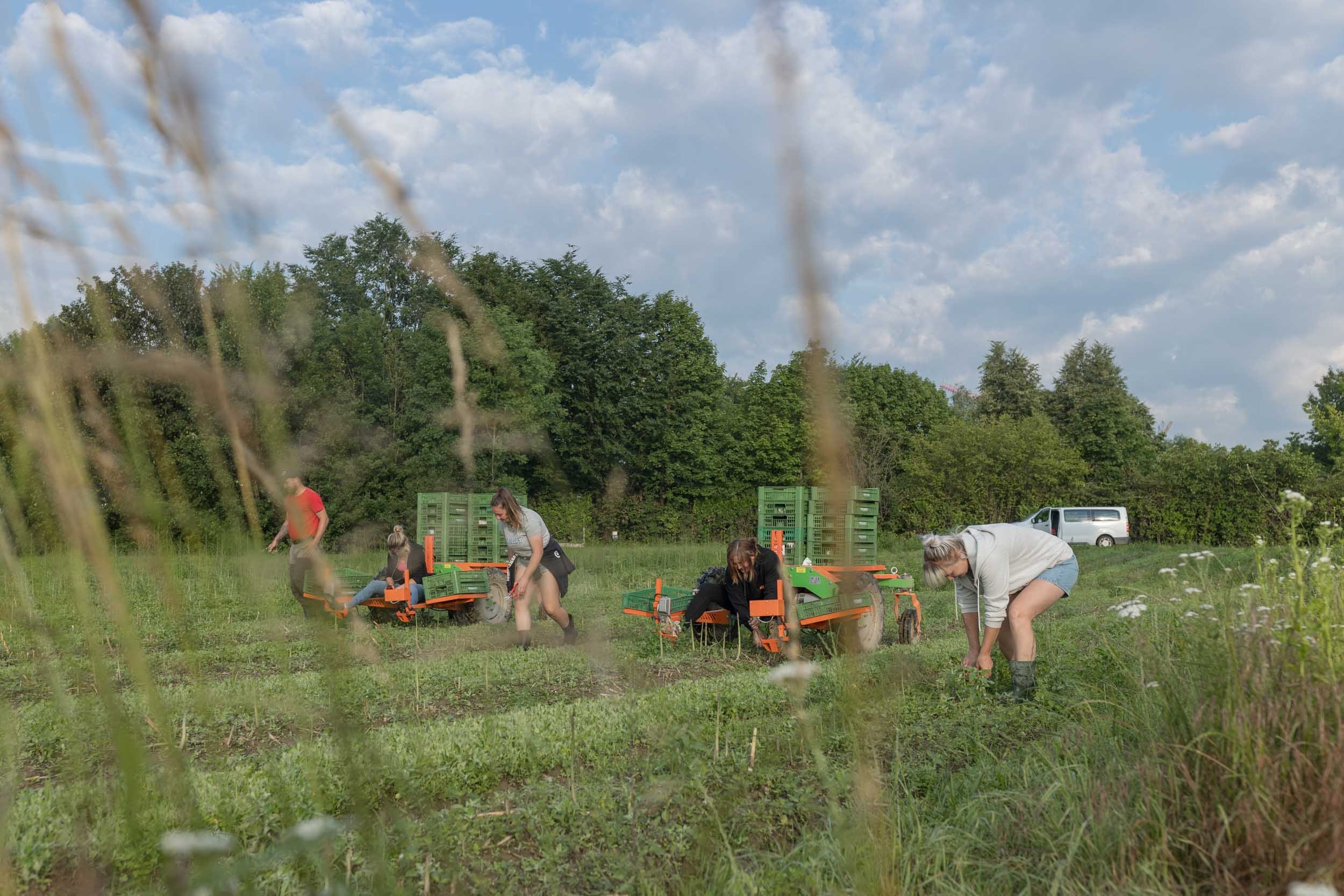 (c)marianne mittermayr_isidor (351).jpg