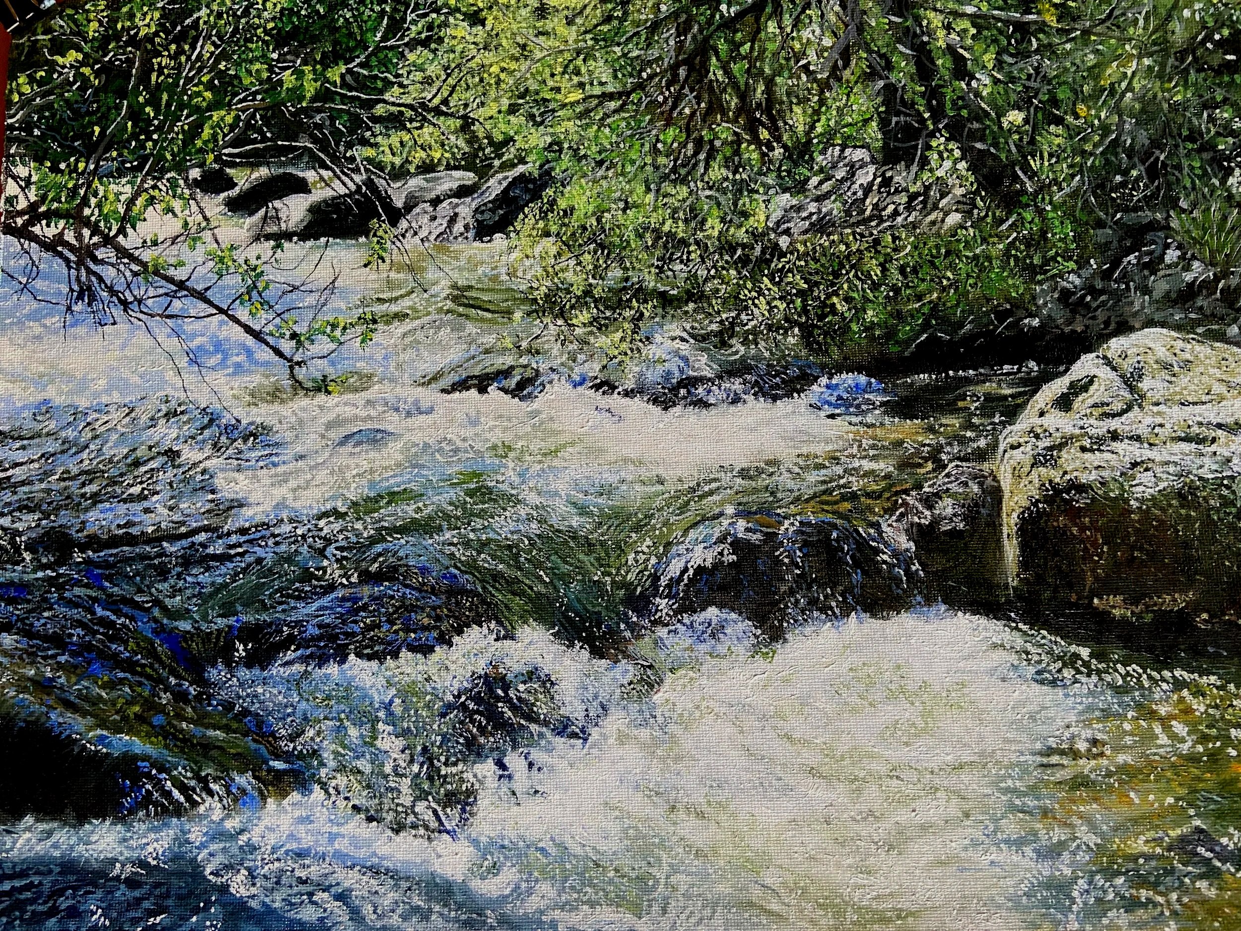 rapids.jpg