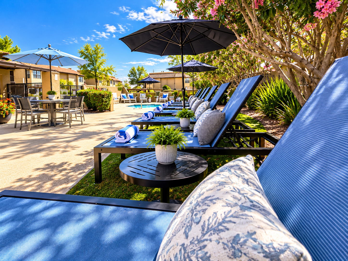 Sunlit Resort Pool Loungers and Gardens.png