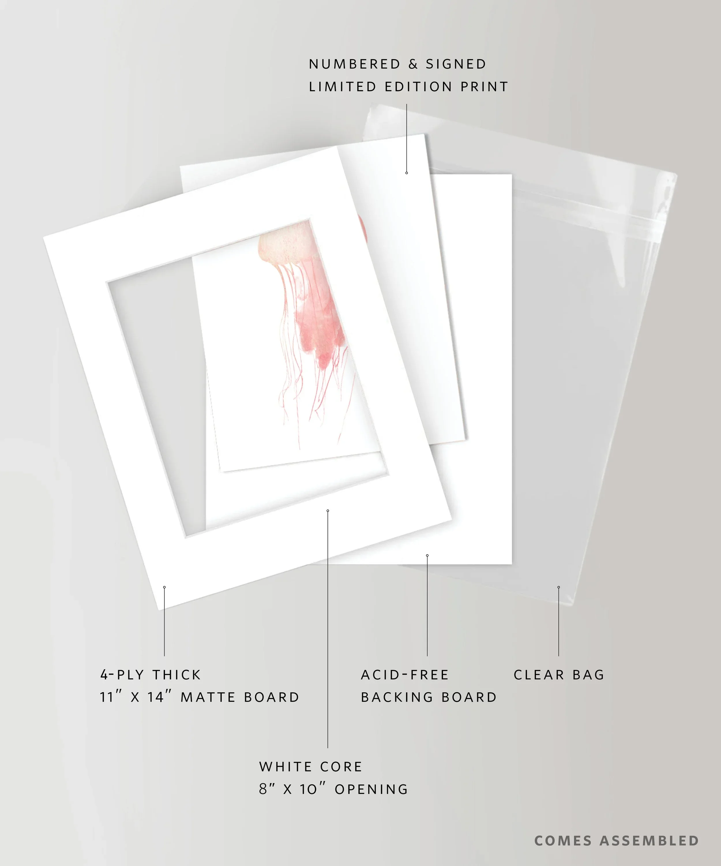 lfr-SKU-005-Wildlife-v2.webp