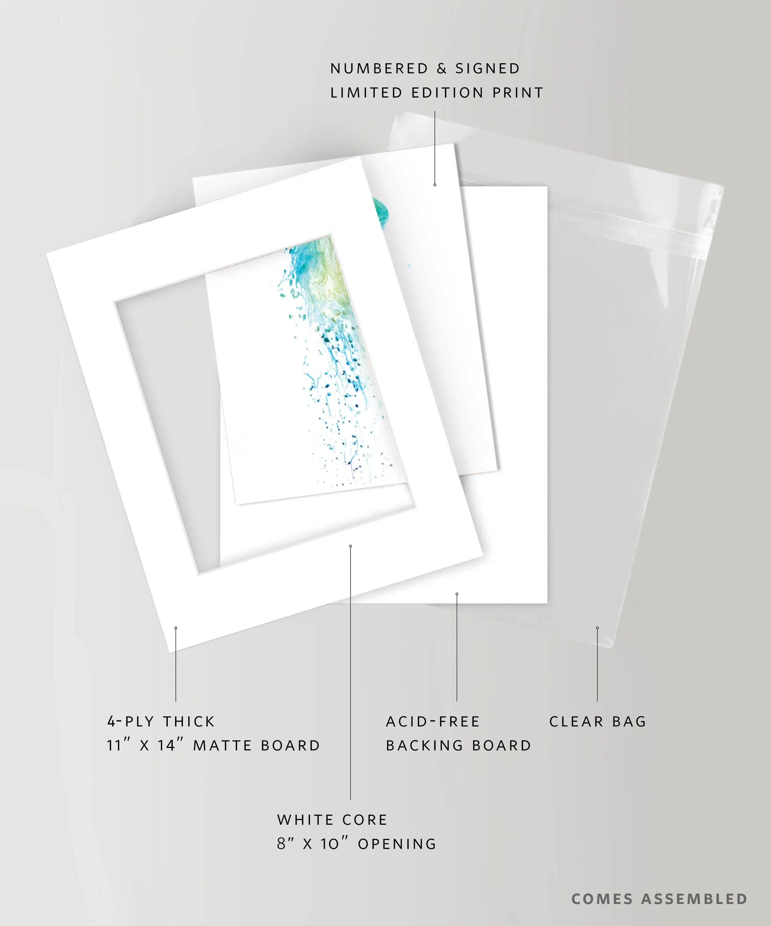 lfr-SKU-1104-v2-Palms-web.webp
