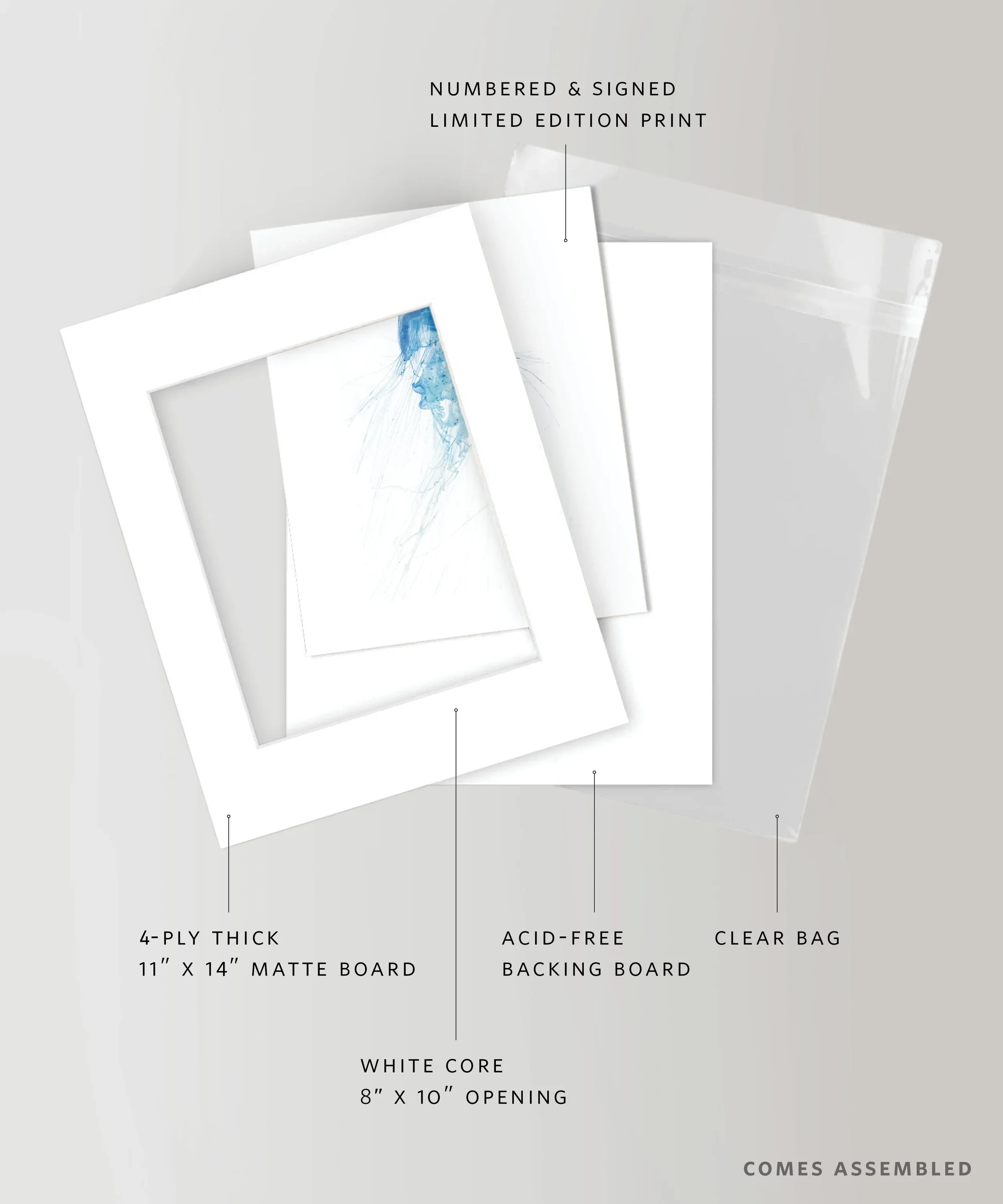 lfr-SKU-006-Wildlife-web-v2.webp