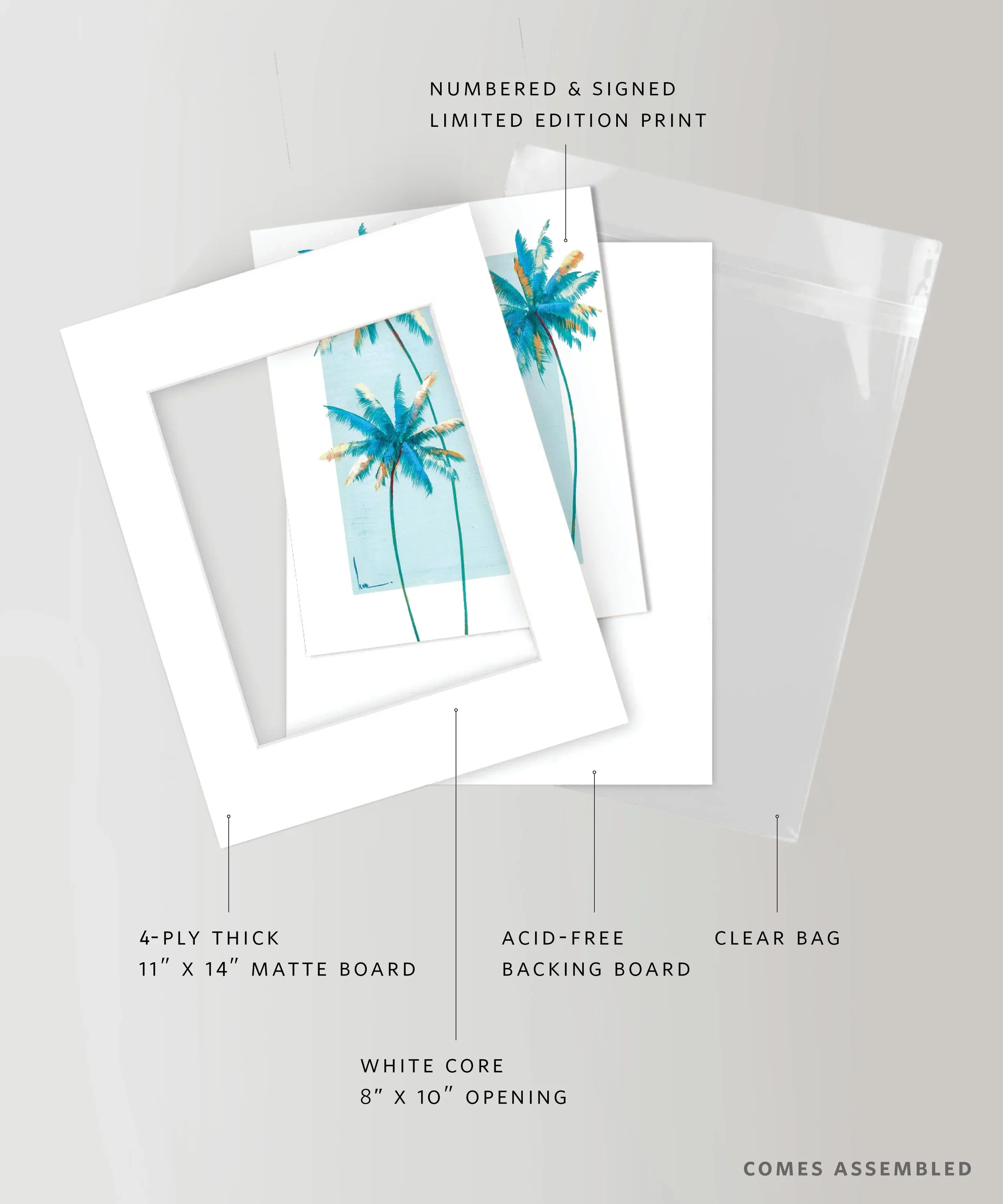 lfr-SKU-1104-v2-Palms-web.webp