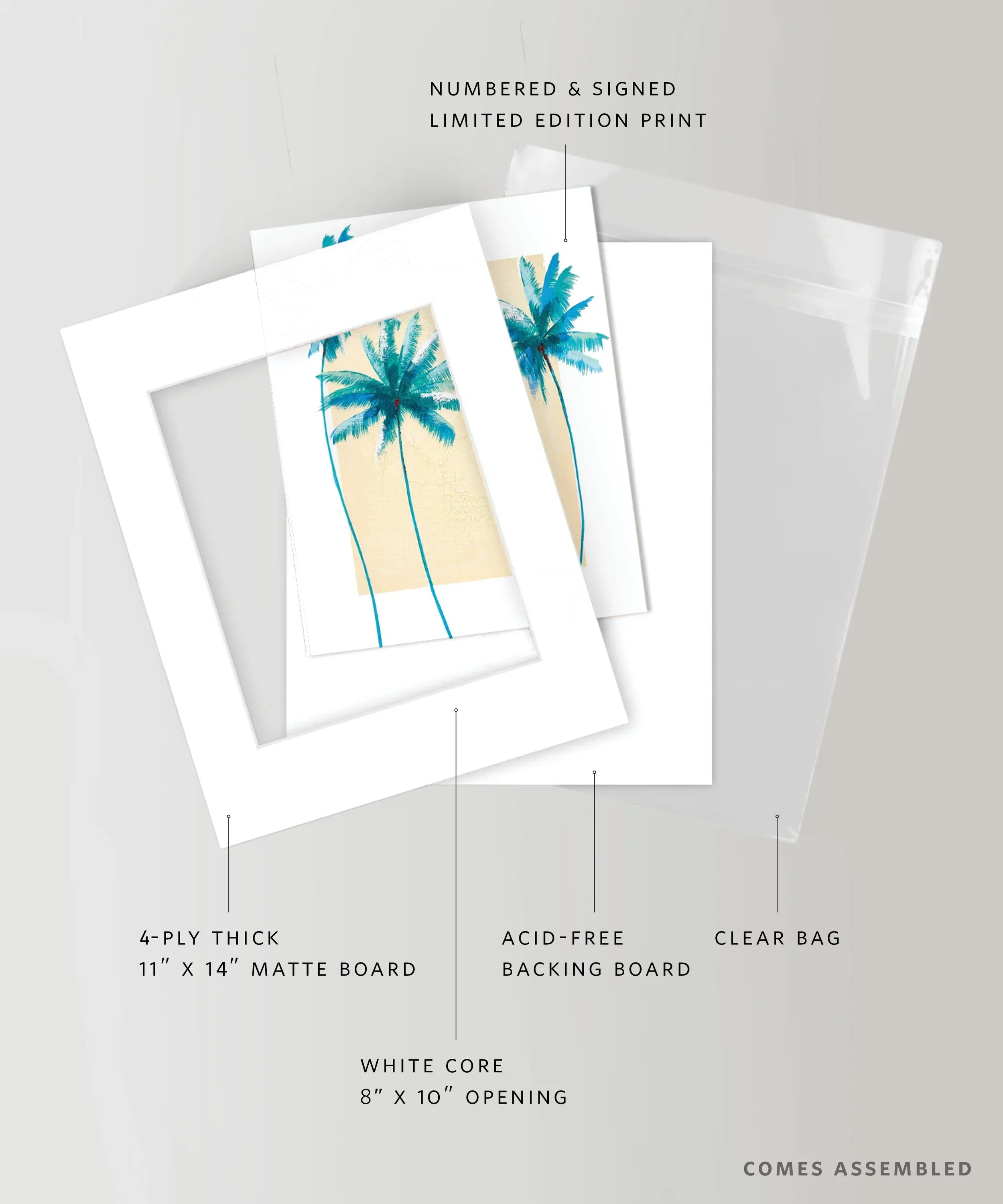 lfr-SKU-1104-Palms-Web-v2.webp