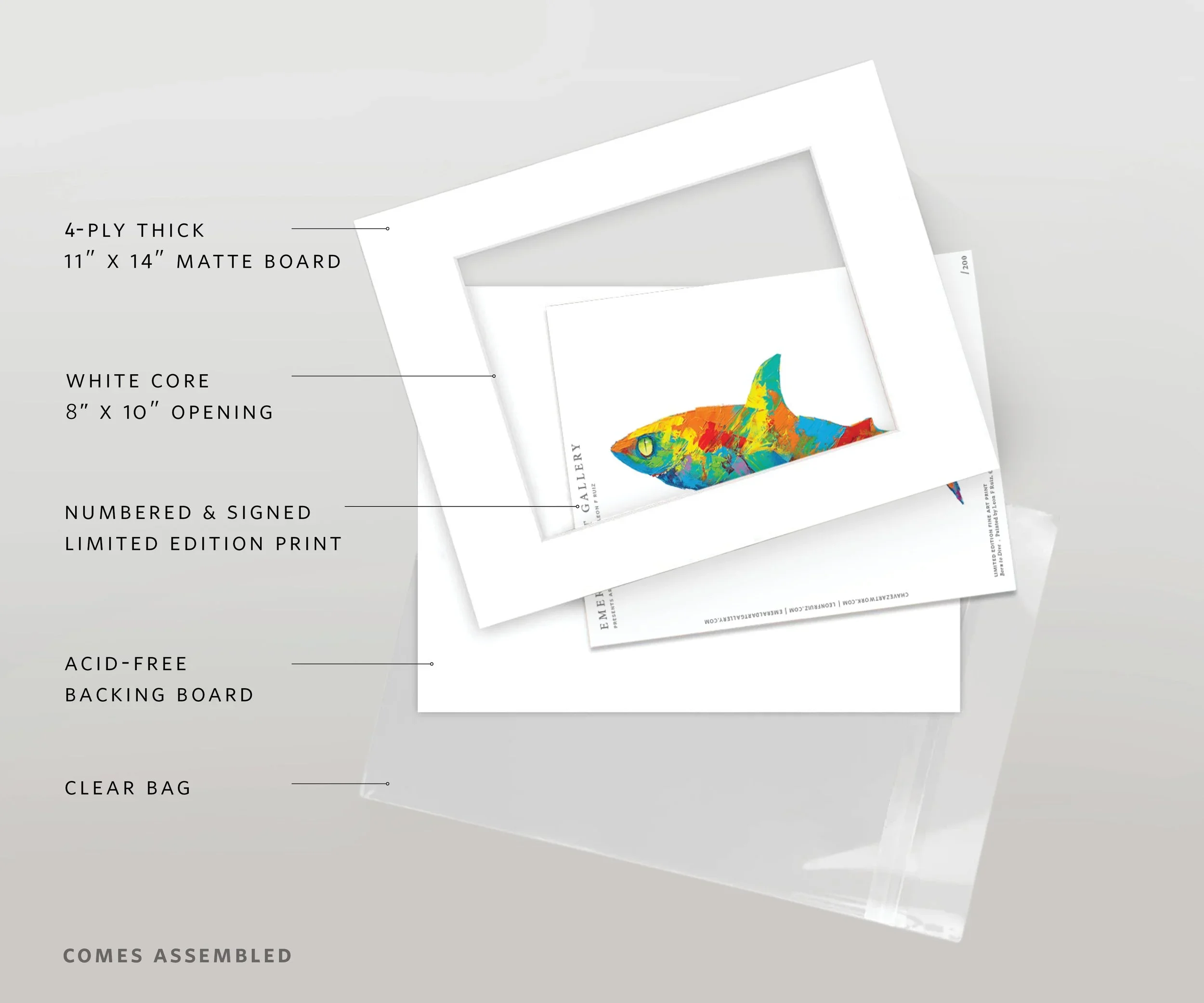 lfr-8x10-wl3632-web-v2.webp