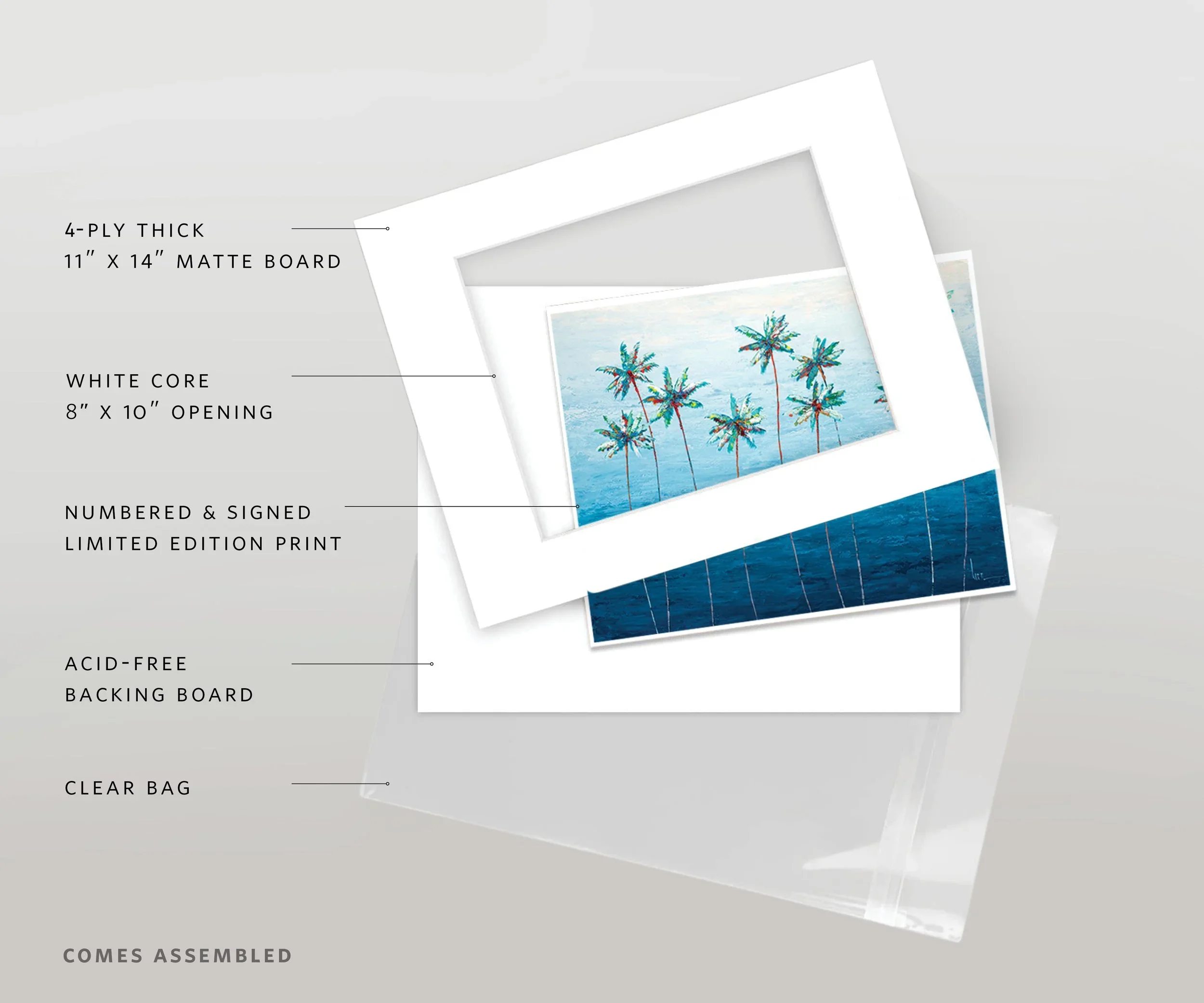 lfr-SKU-1005-Palms-02.webp