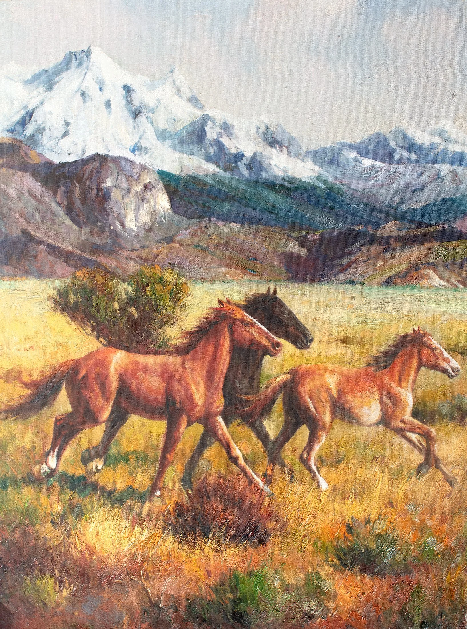 eag-SKU-OIL_H0248-40x30.jpg