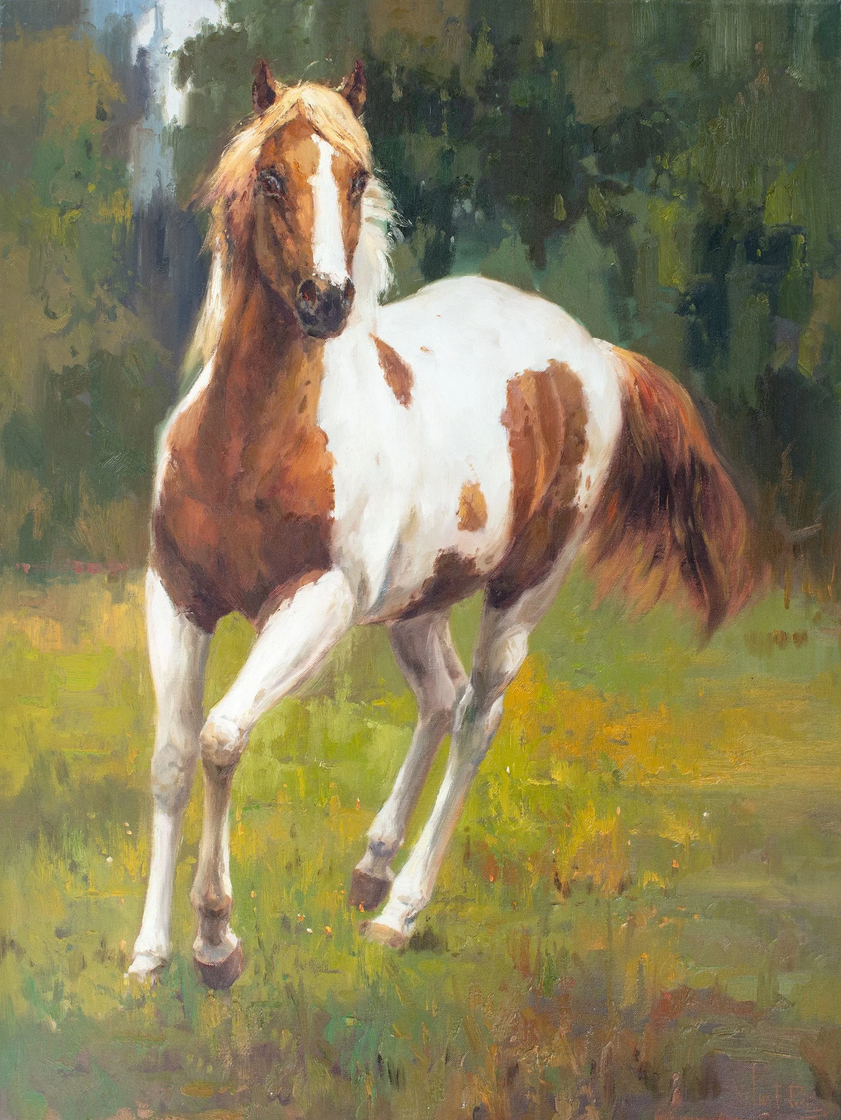 eag-SKU-OIL_H0020-40x30.jpg