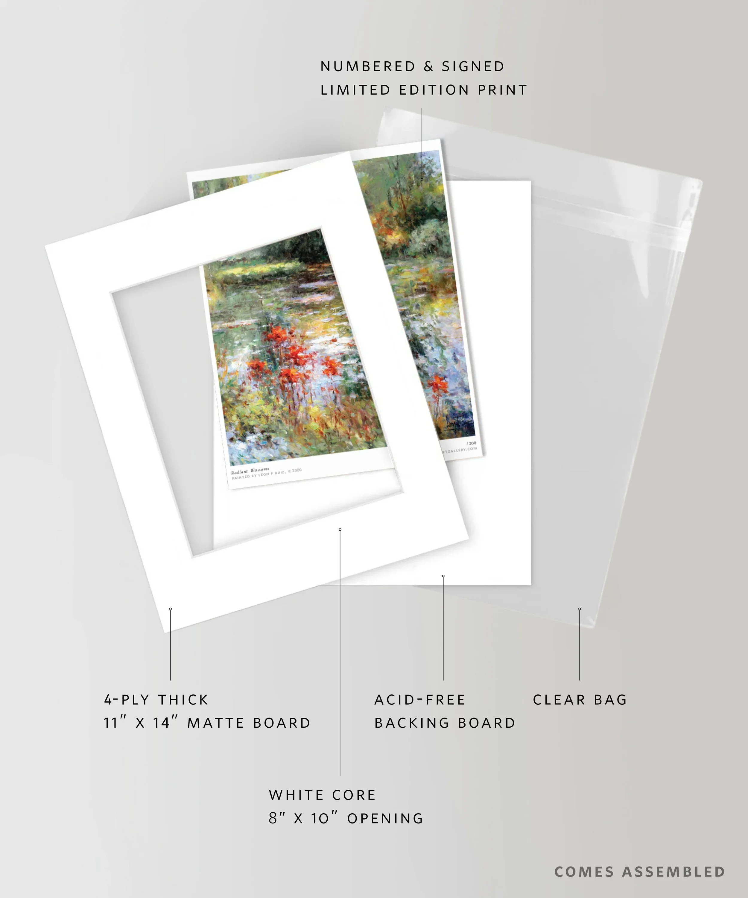 lfr-SKU-9944-Oil-web-v2.webp