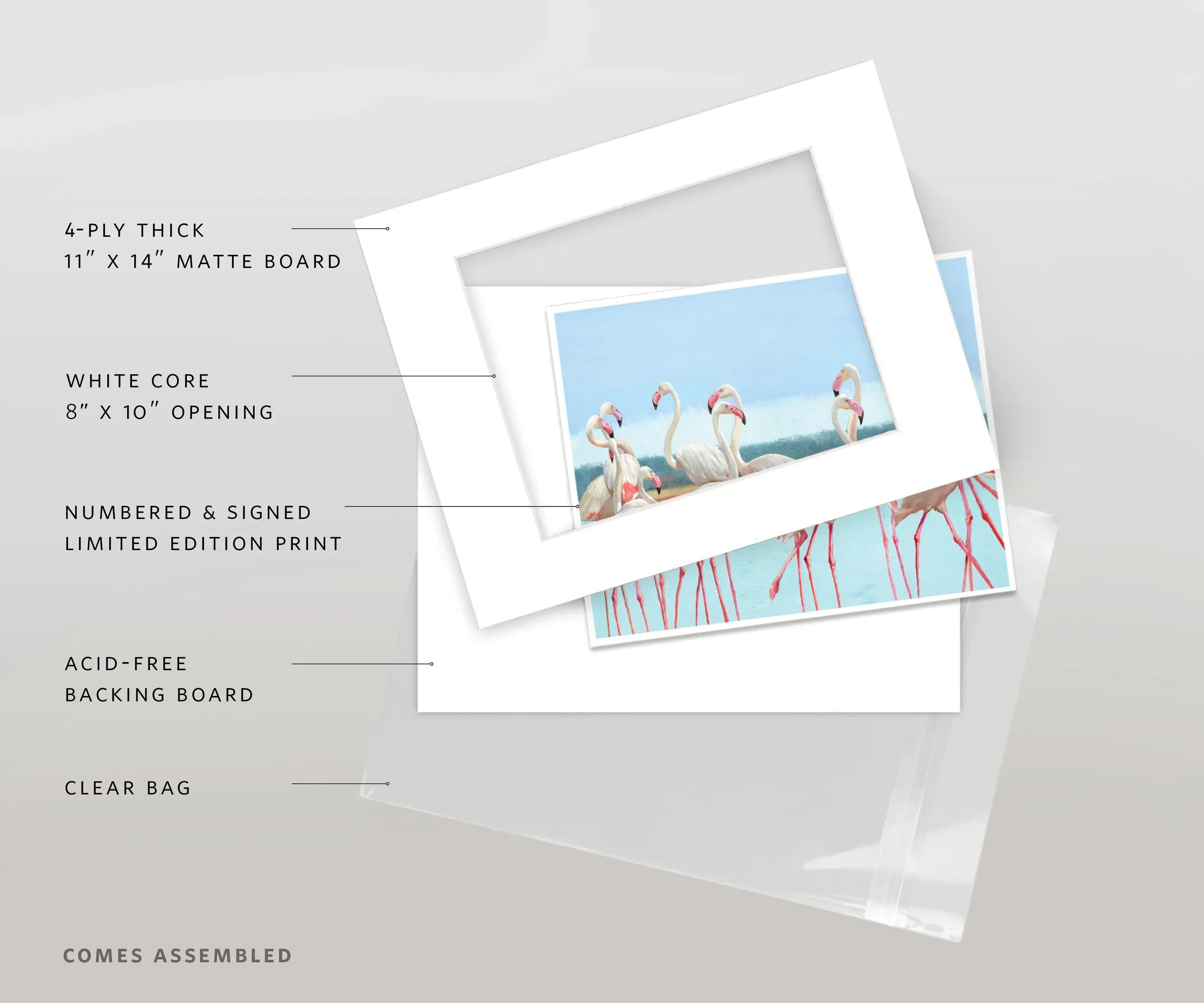 lfr-SKU-1003-Wildlife-v3.webp