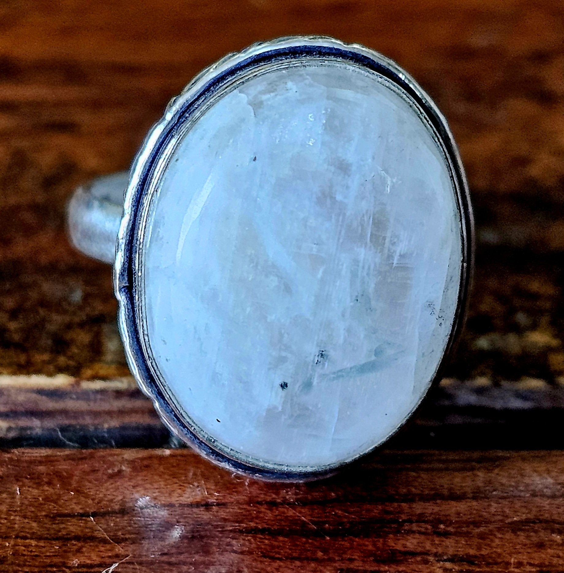 20250219_134147.jpg