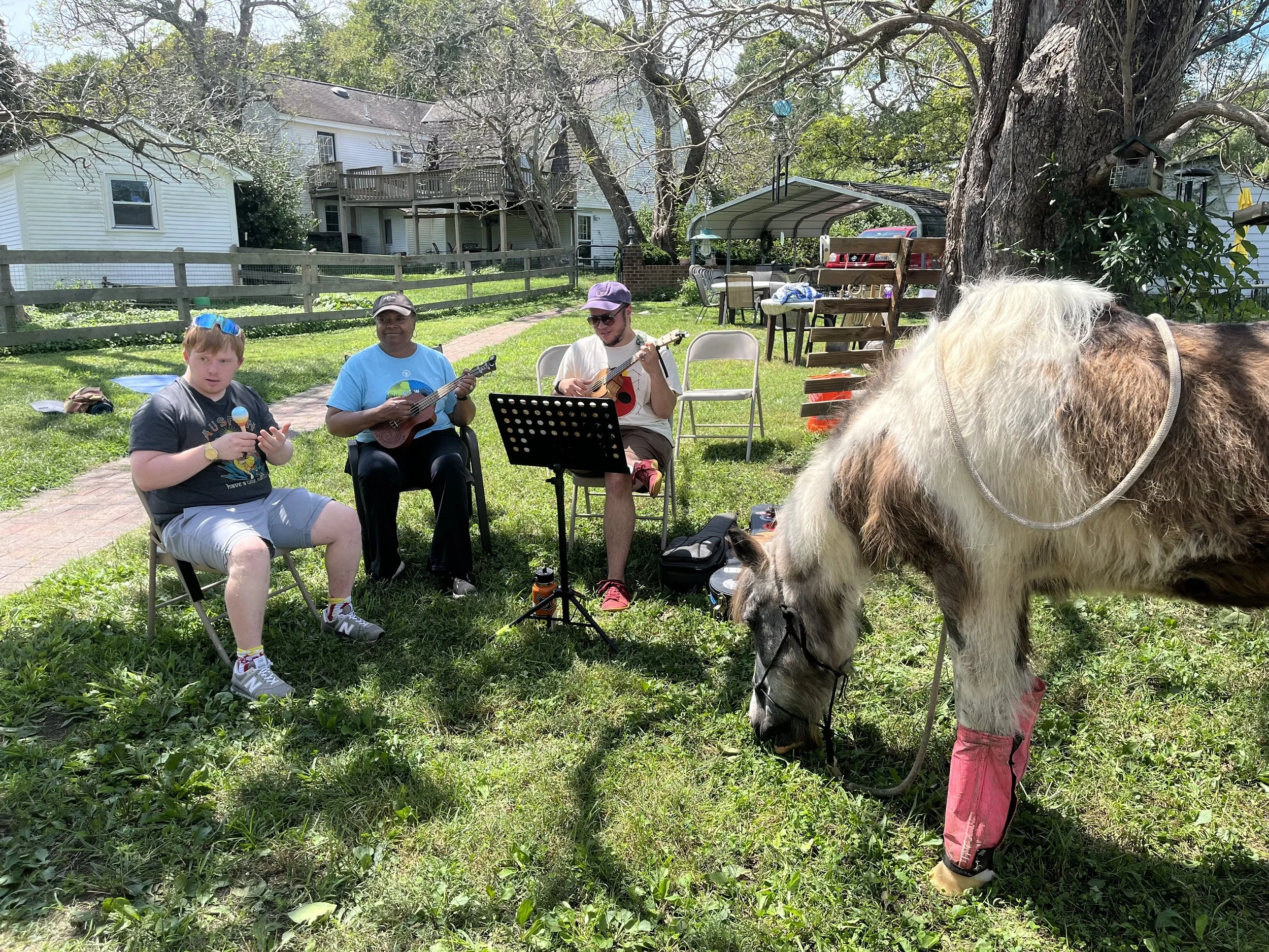 Horse Resting