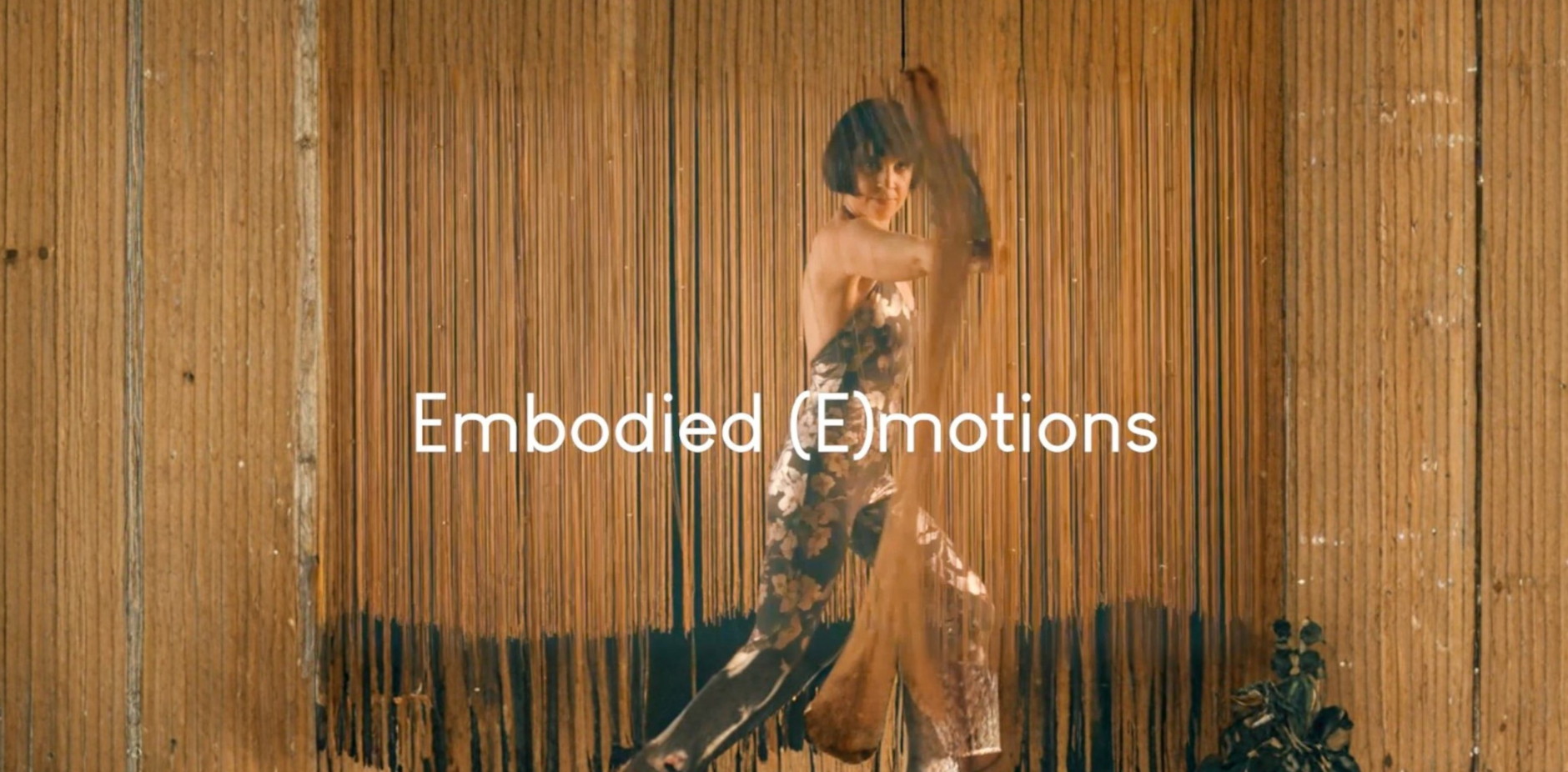 Debut Video Installation - Digital Download