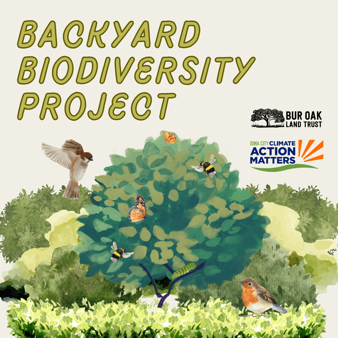 Backyard Biodiversity Native Plant Giveaway 
