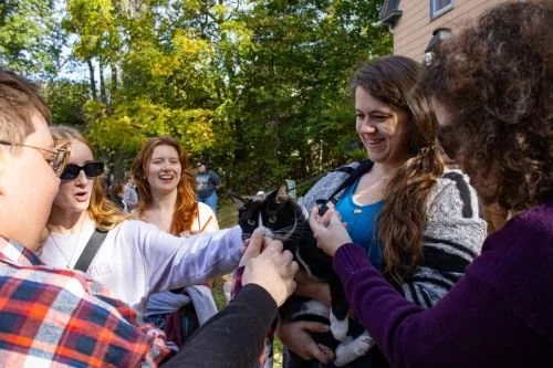Northside Kitty Walk