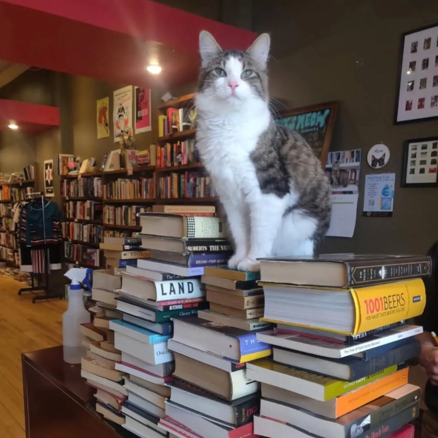 2026 Bookstore Crawl