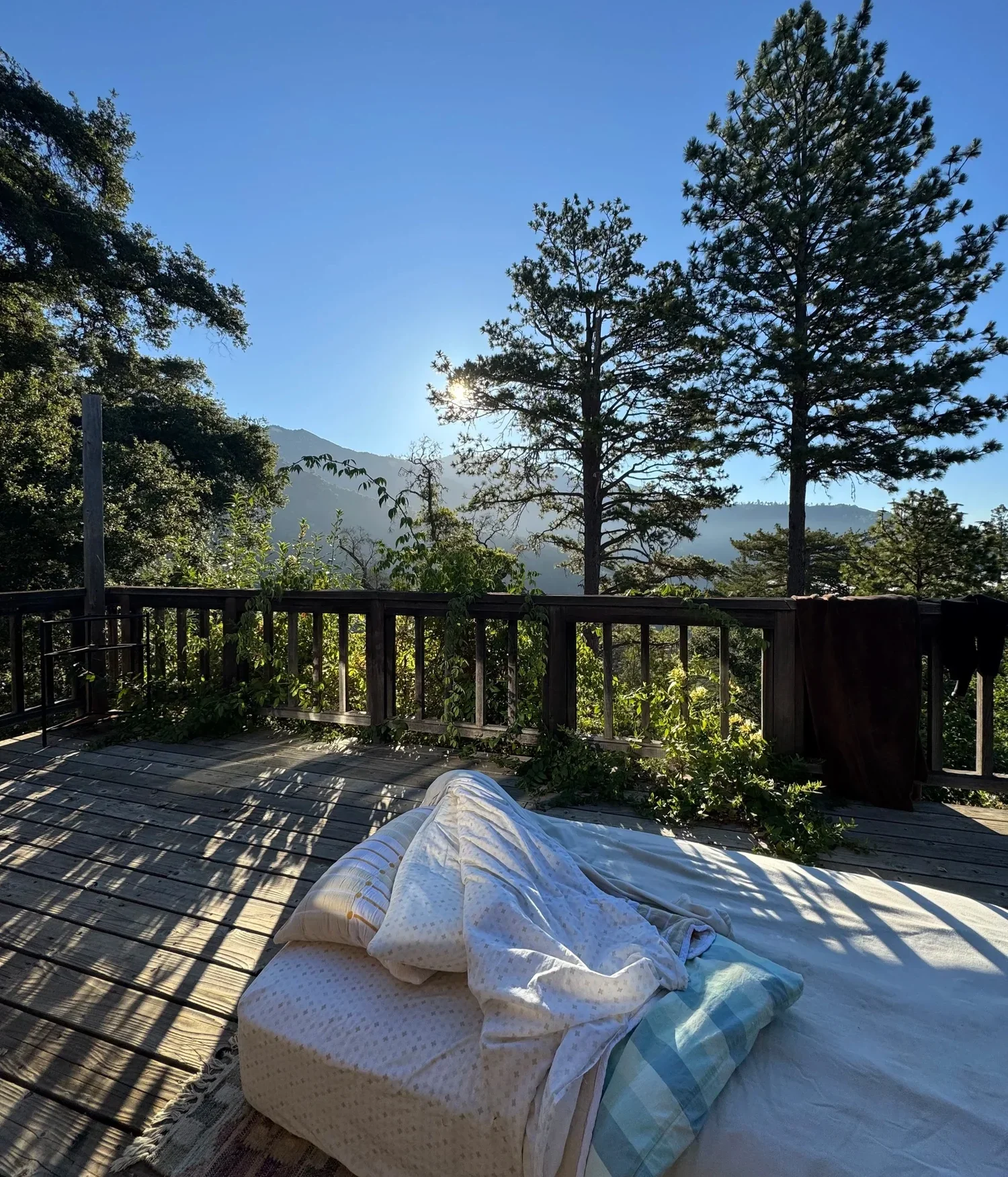 Notes on Rewilding Self – November 2025 When Belonging Lives in Your Bones