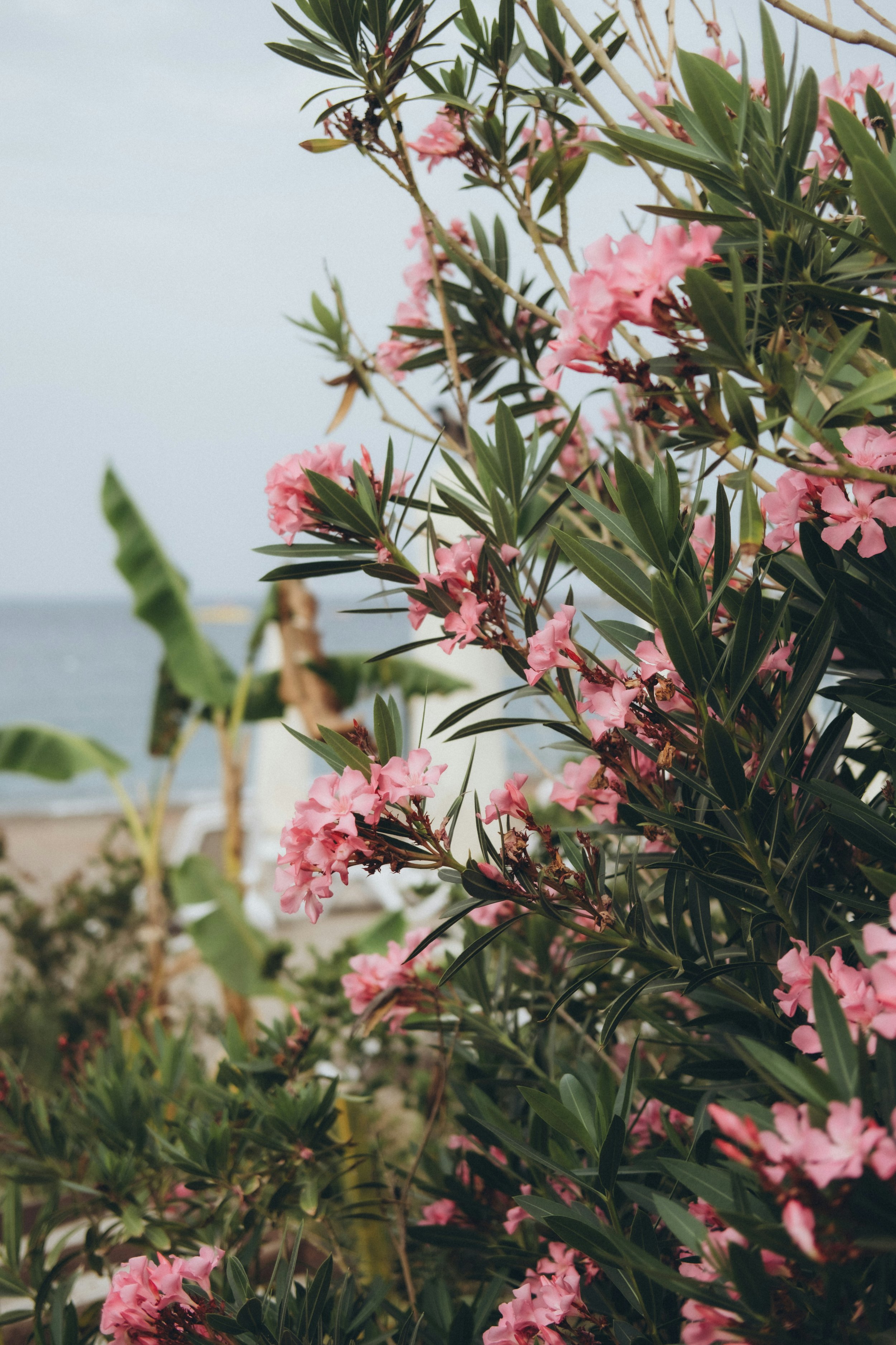 Embracing the Shadows and the Light: Holding All Your Parts with Compassion