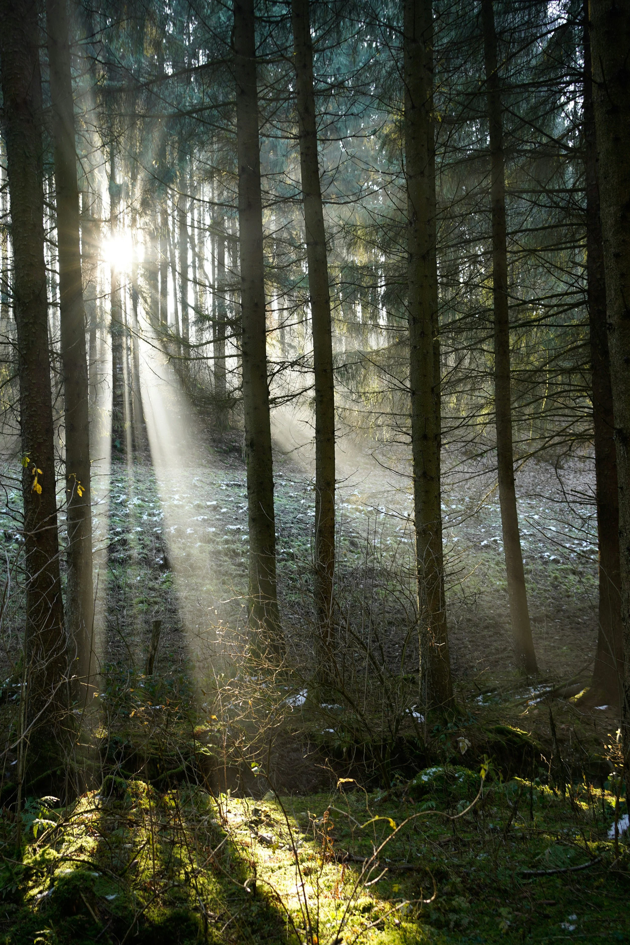 When You Feel Unlovable: Why Your Inner Critic Is Actually a Protector (And What to Do About It)