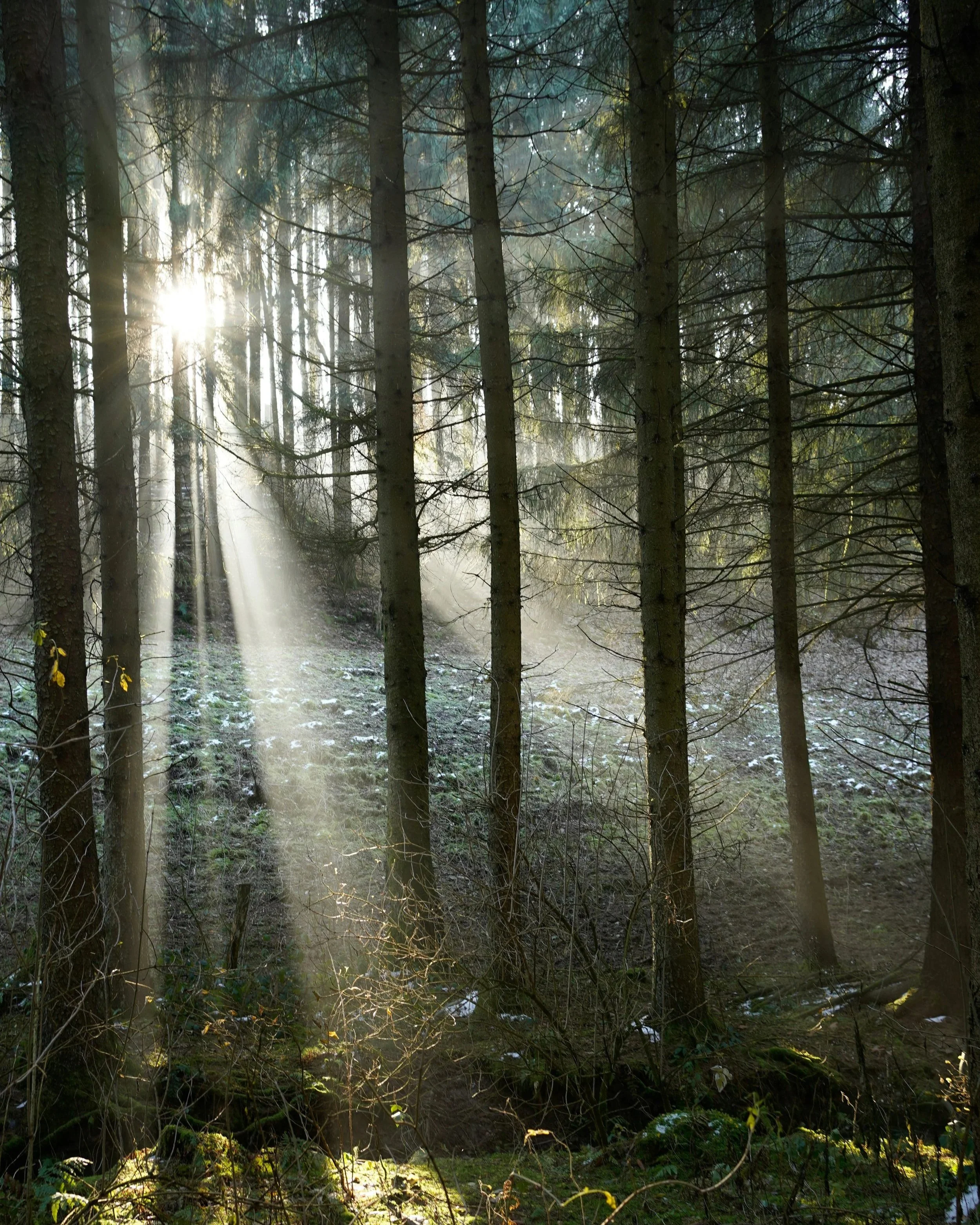 Episode 2 - When You Feel Unlovable: Why Your Inner Critic Is Actually a Protector (And What to Do About It)