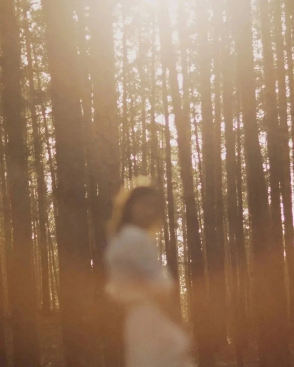 Episode 7: When Your Super Co-Regulator Status Gets Revoked — And What to Do When It Does