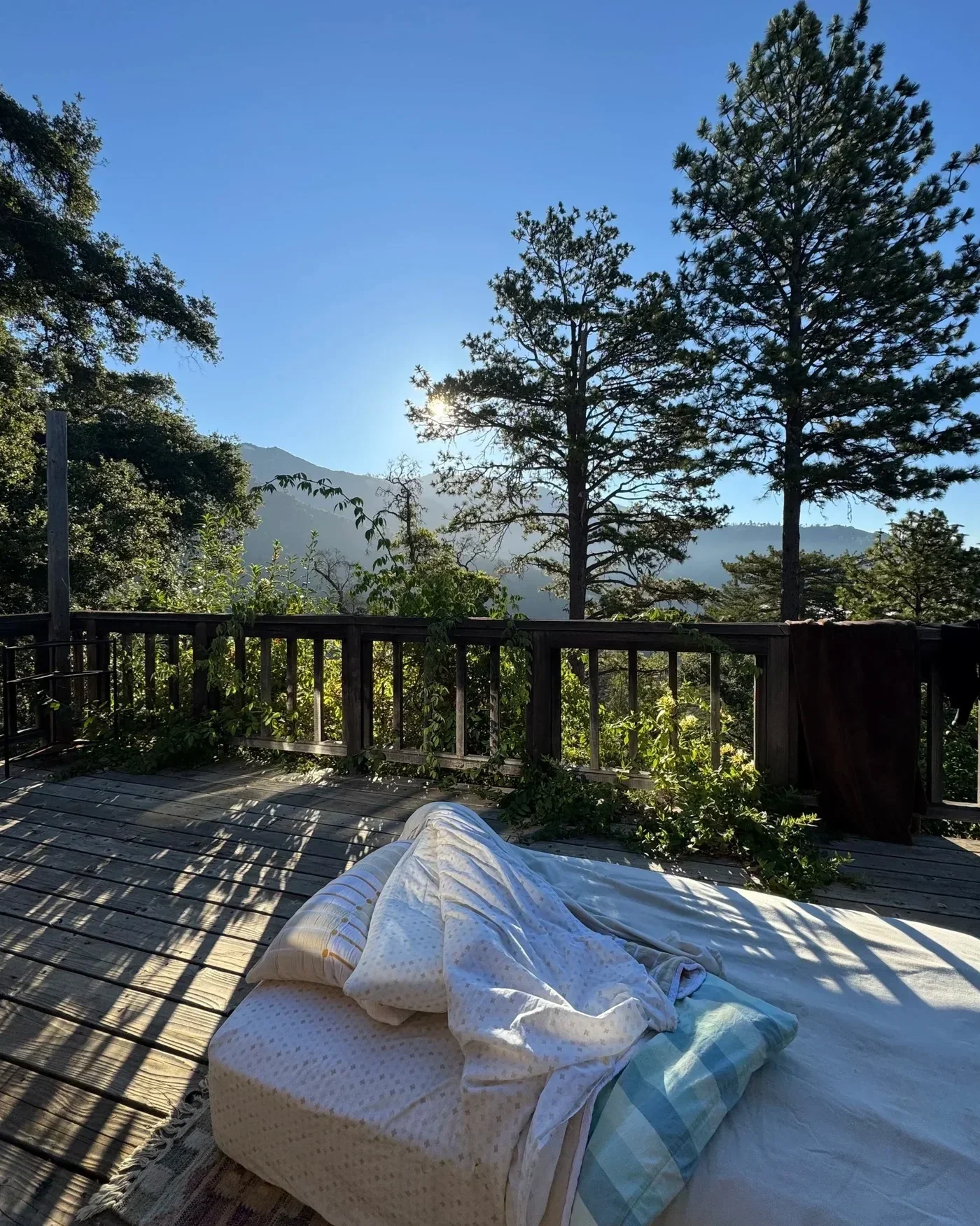 Notes on Rewilding Self – November 2025 When Belonging Lives in Your Bones
