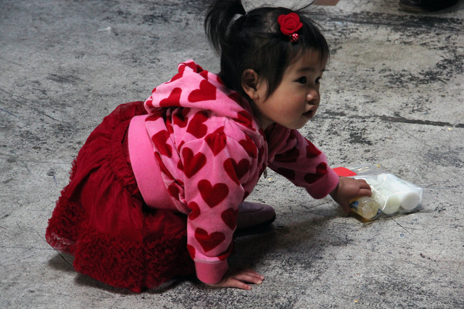 project+colo+corps+spread red 6.png