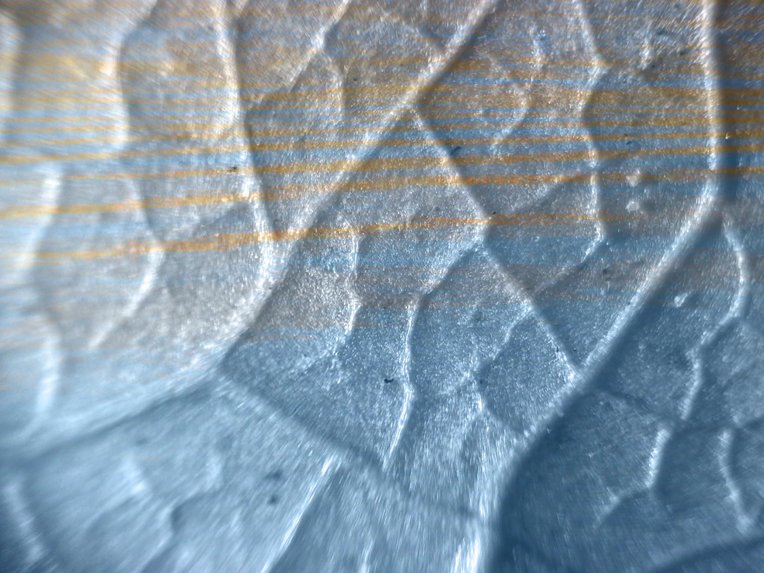 IMG_0691.png