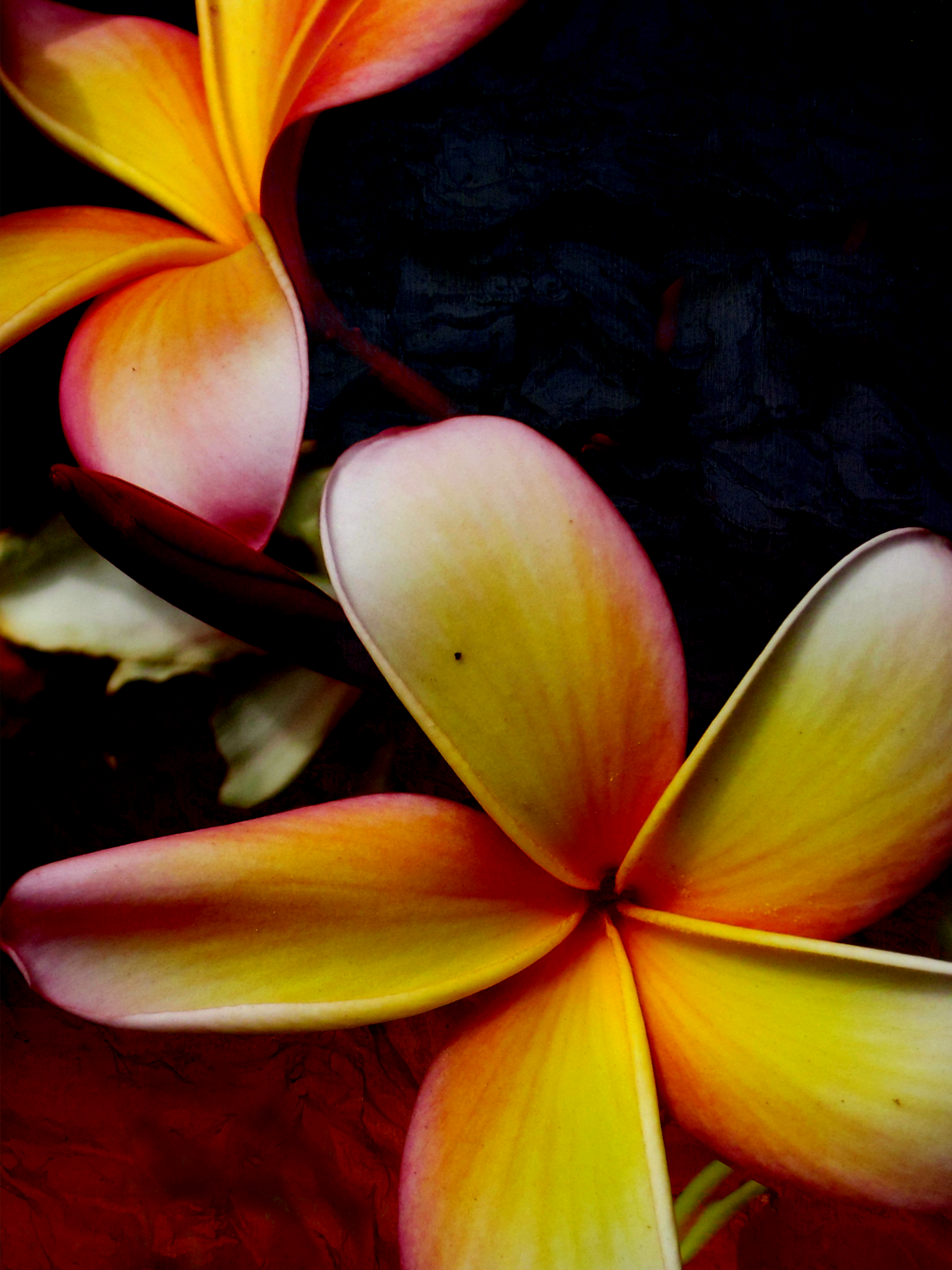 IMG_0674.png