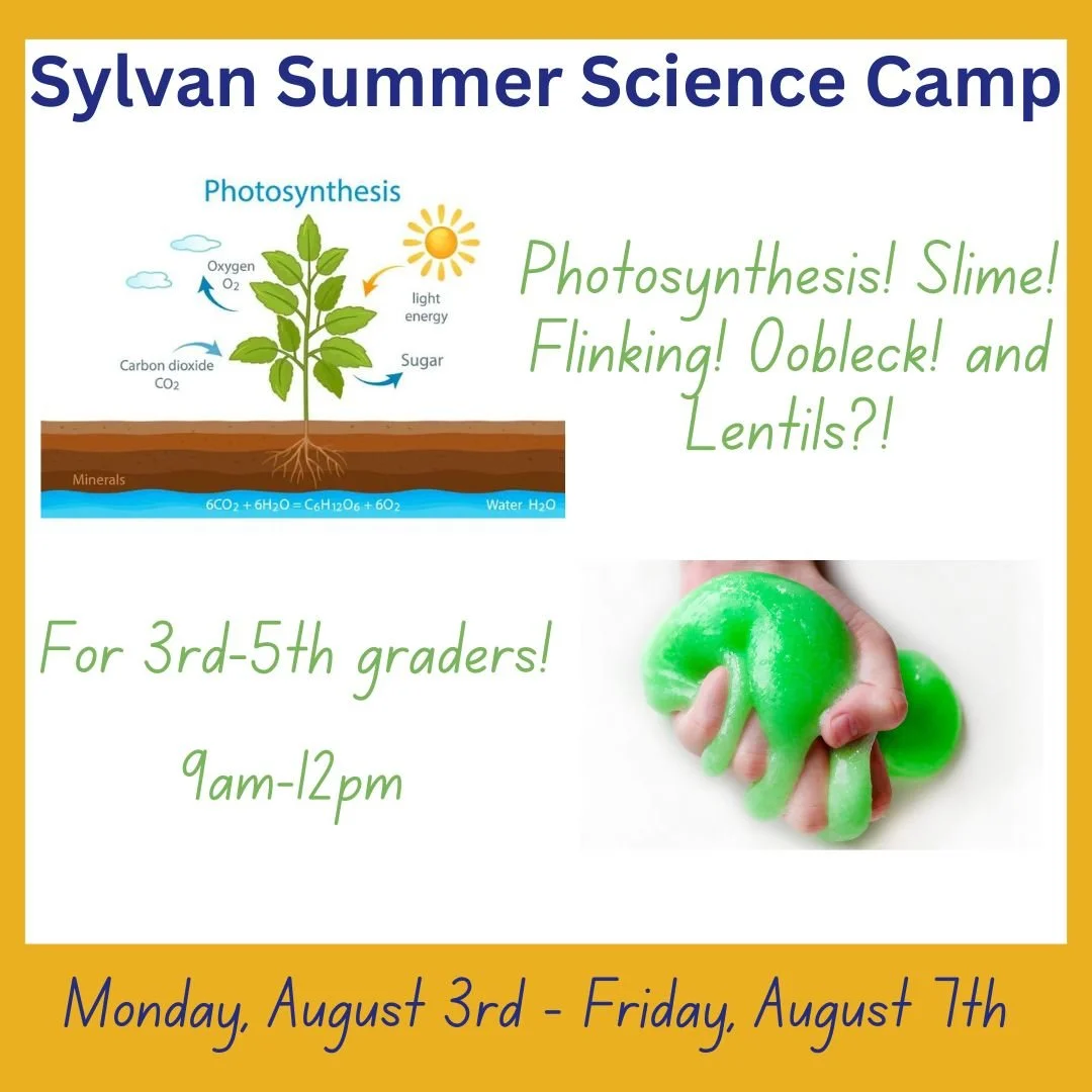 Sylvan Summer Science Camp.jpg