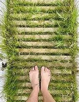 Mum and Baby Classes, Retreat, Yoga, Post natal, Pilates, Baby Massage, Baby Yoga