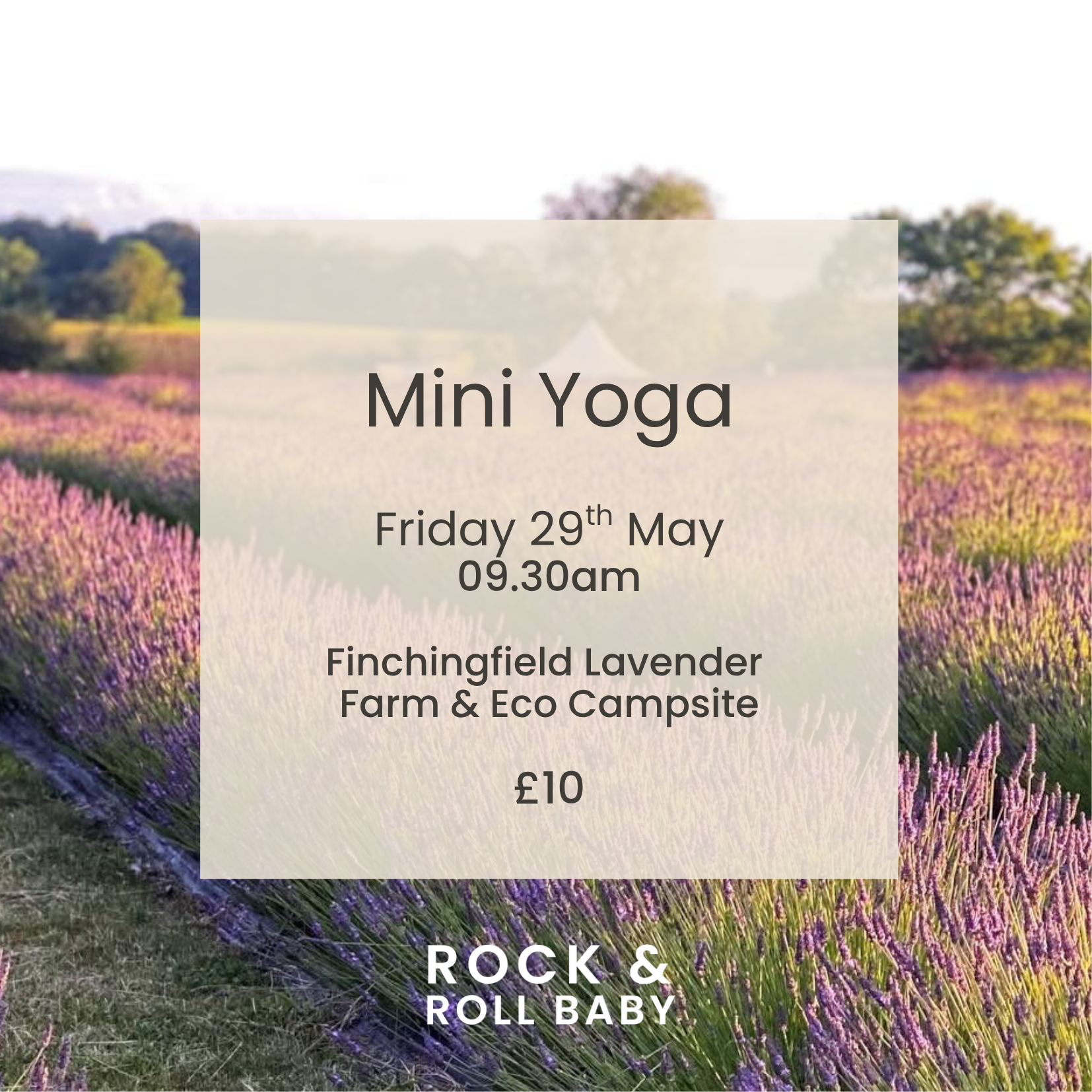 'Mini Yoga' in the Lavender Fields!