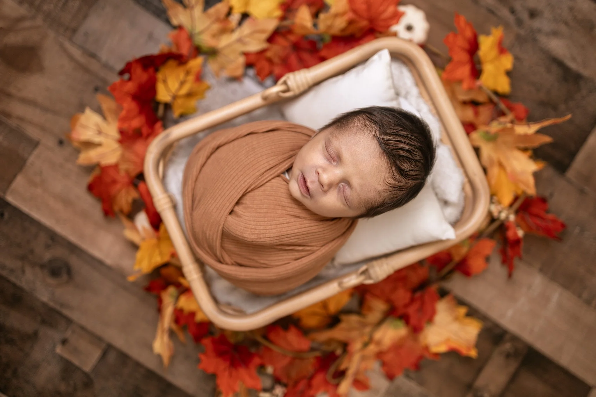 Young sleeping baby swaddled in tan cloth, lying in a wicker bassinet on a bed of autumn leaves.